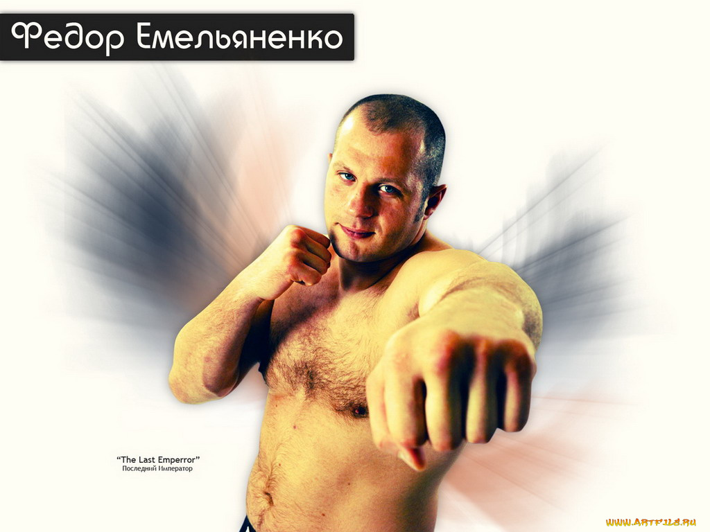 спорт, mix, fight