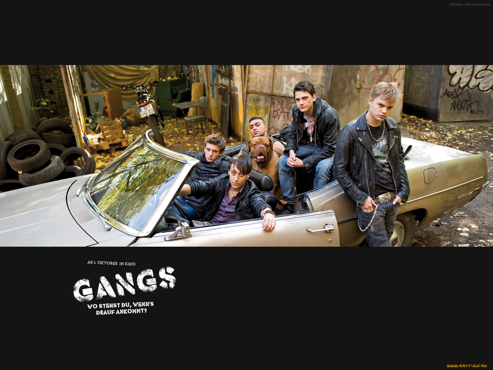 gangs, кино, фильмы