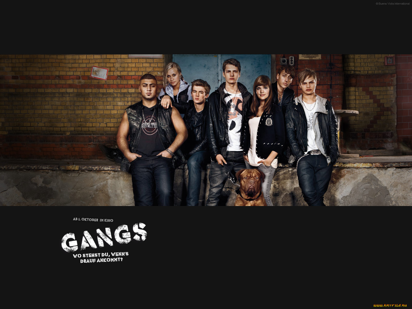 gangs, кино, фильмы