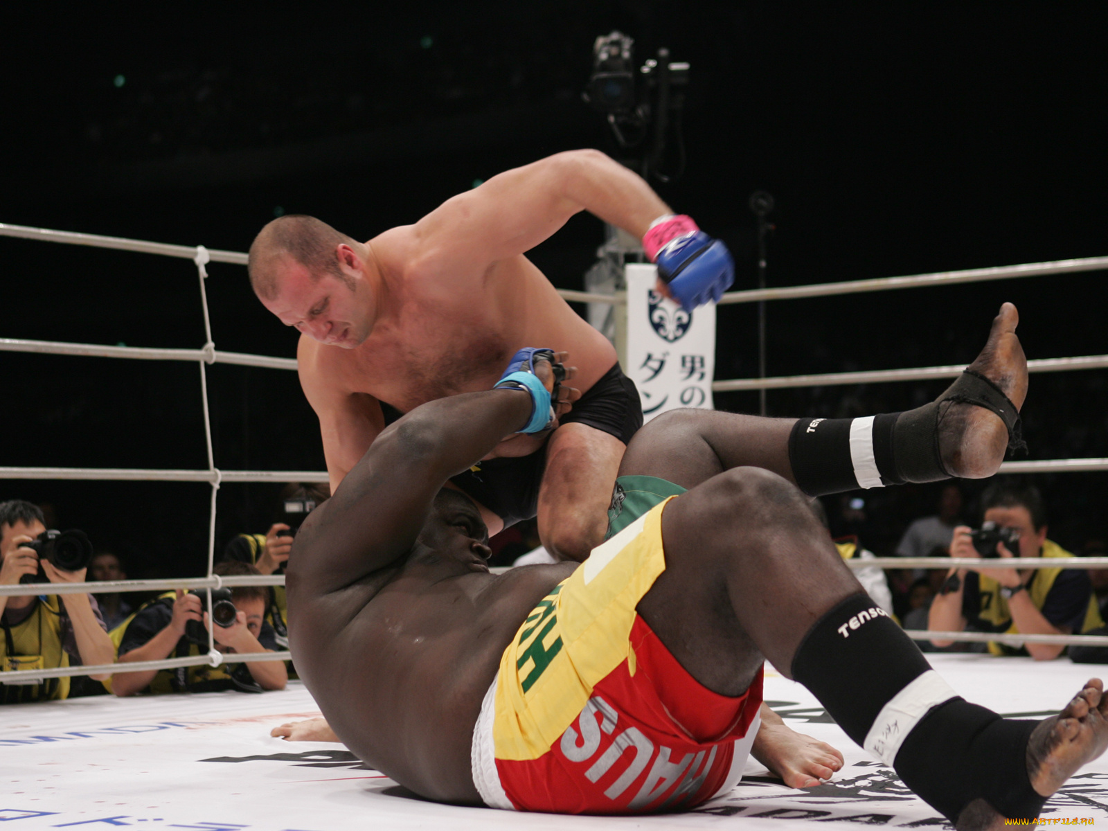 спорт, mix, fight