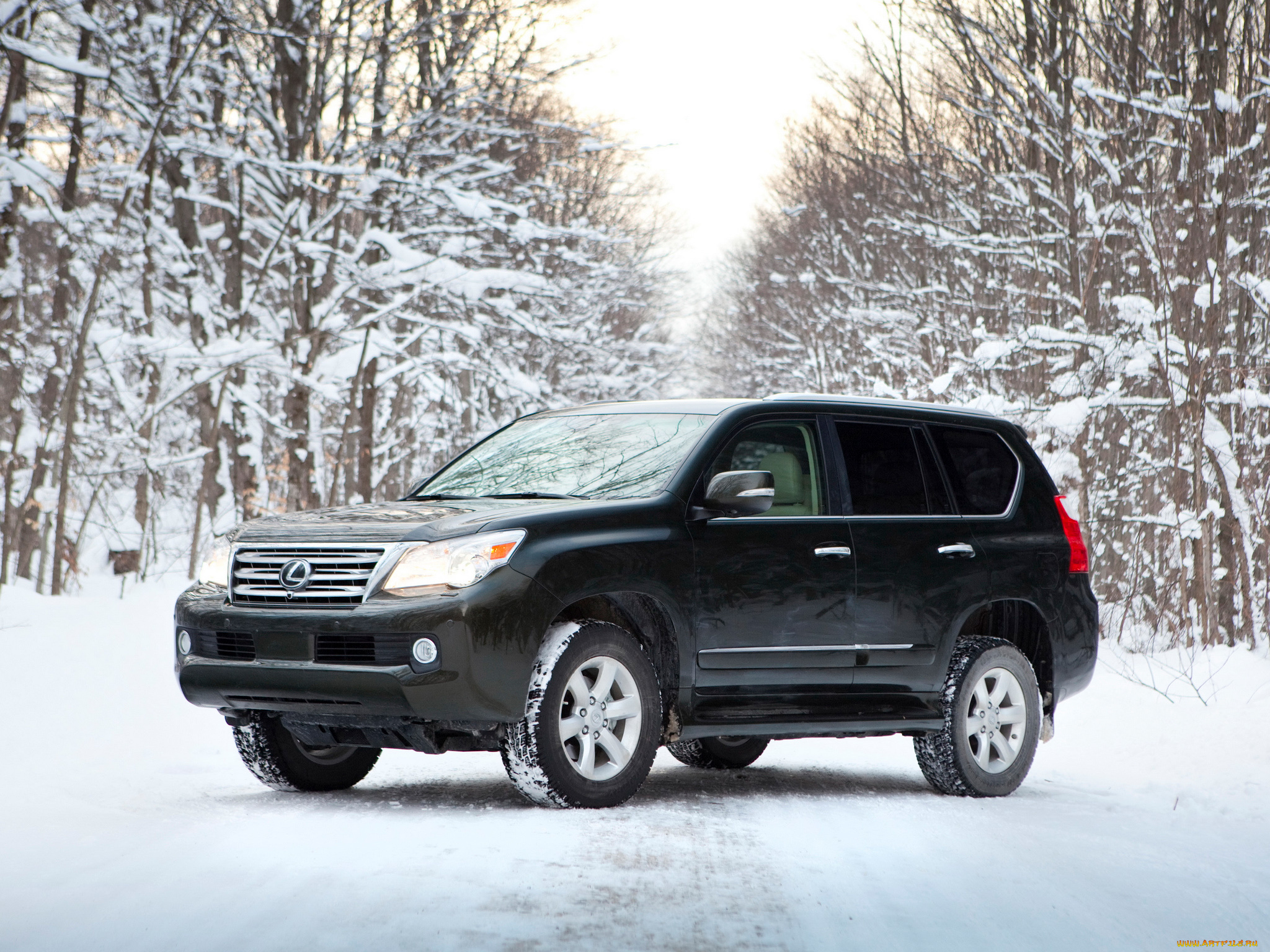 автомобили, lexus