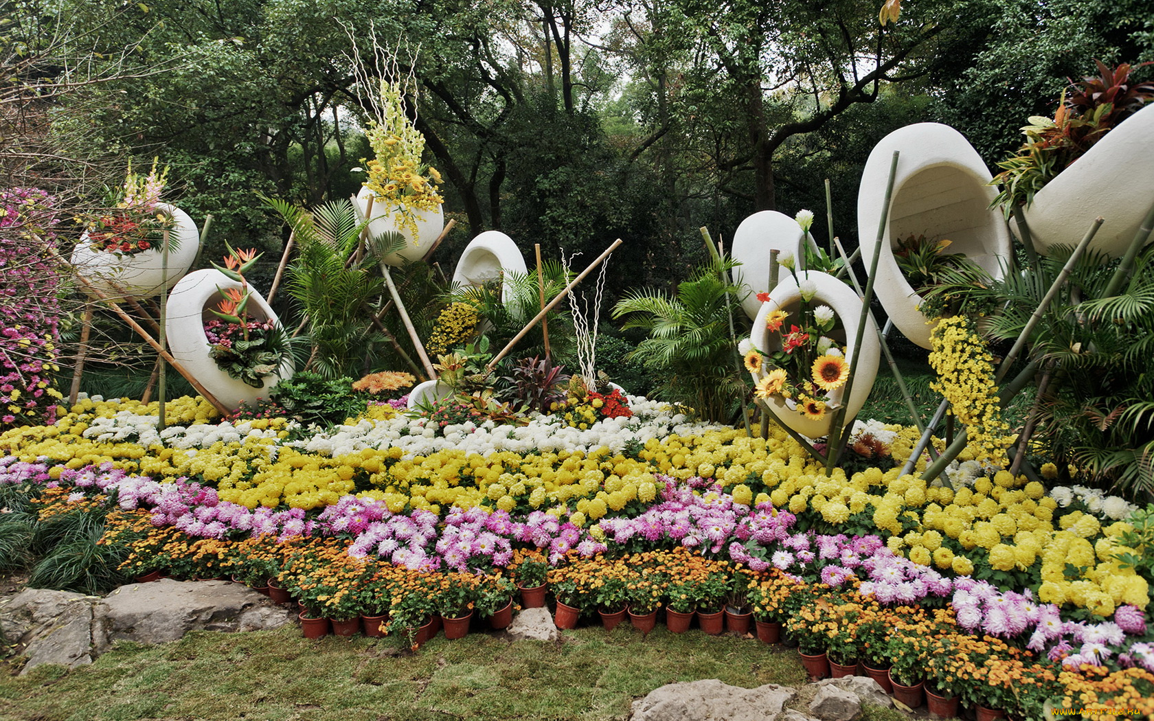 цветы, разные, вместе, деревья, вазоны, оригинальные, вазы