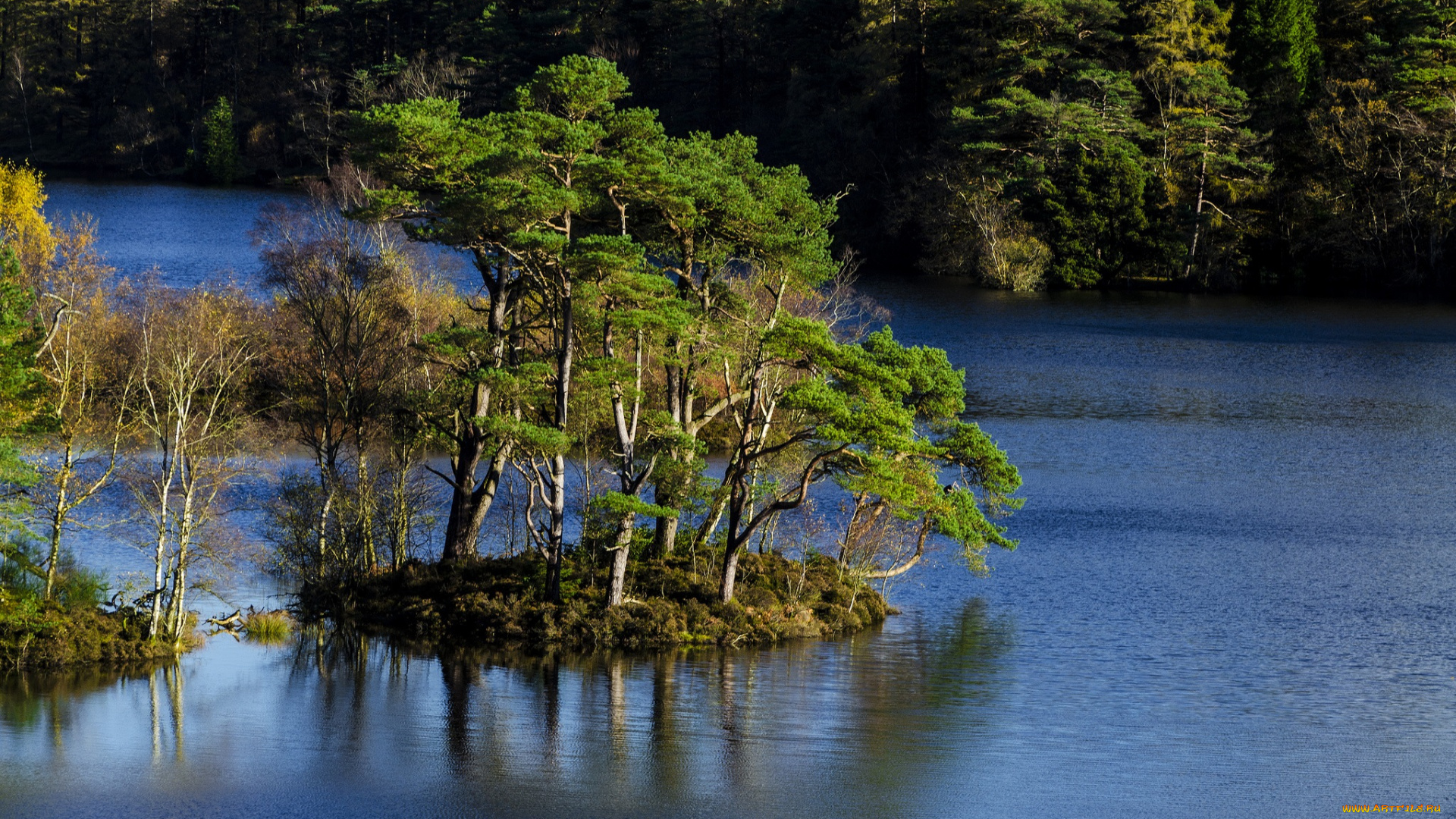 природа, реки, озера, лес, река, островок, сосны
