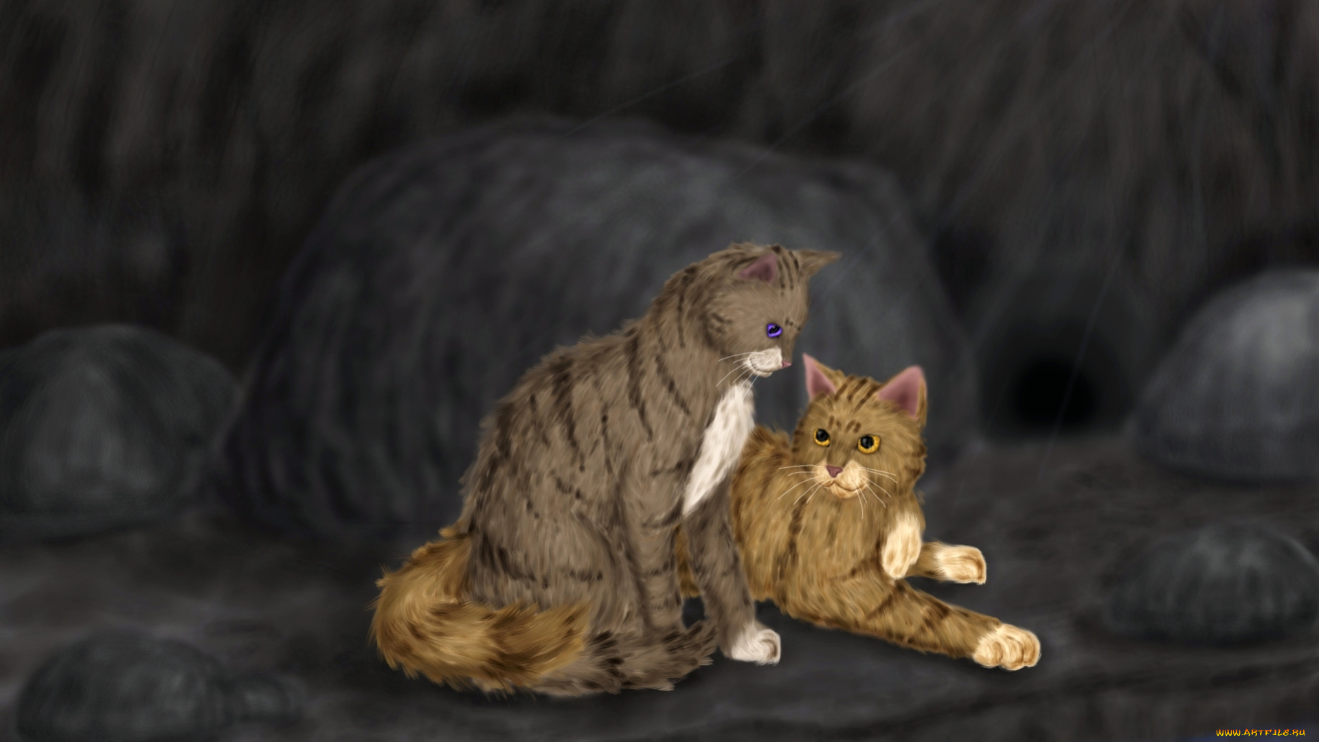 рисованные, животные, коты