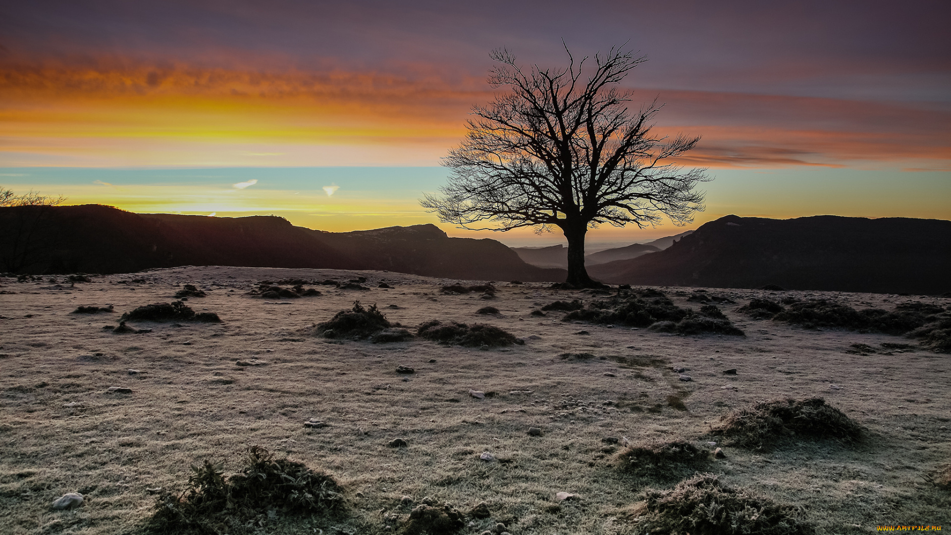 природа, деревья, вечер, дерево, igor, galarza, закат, небо
