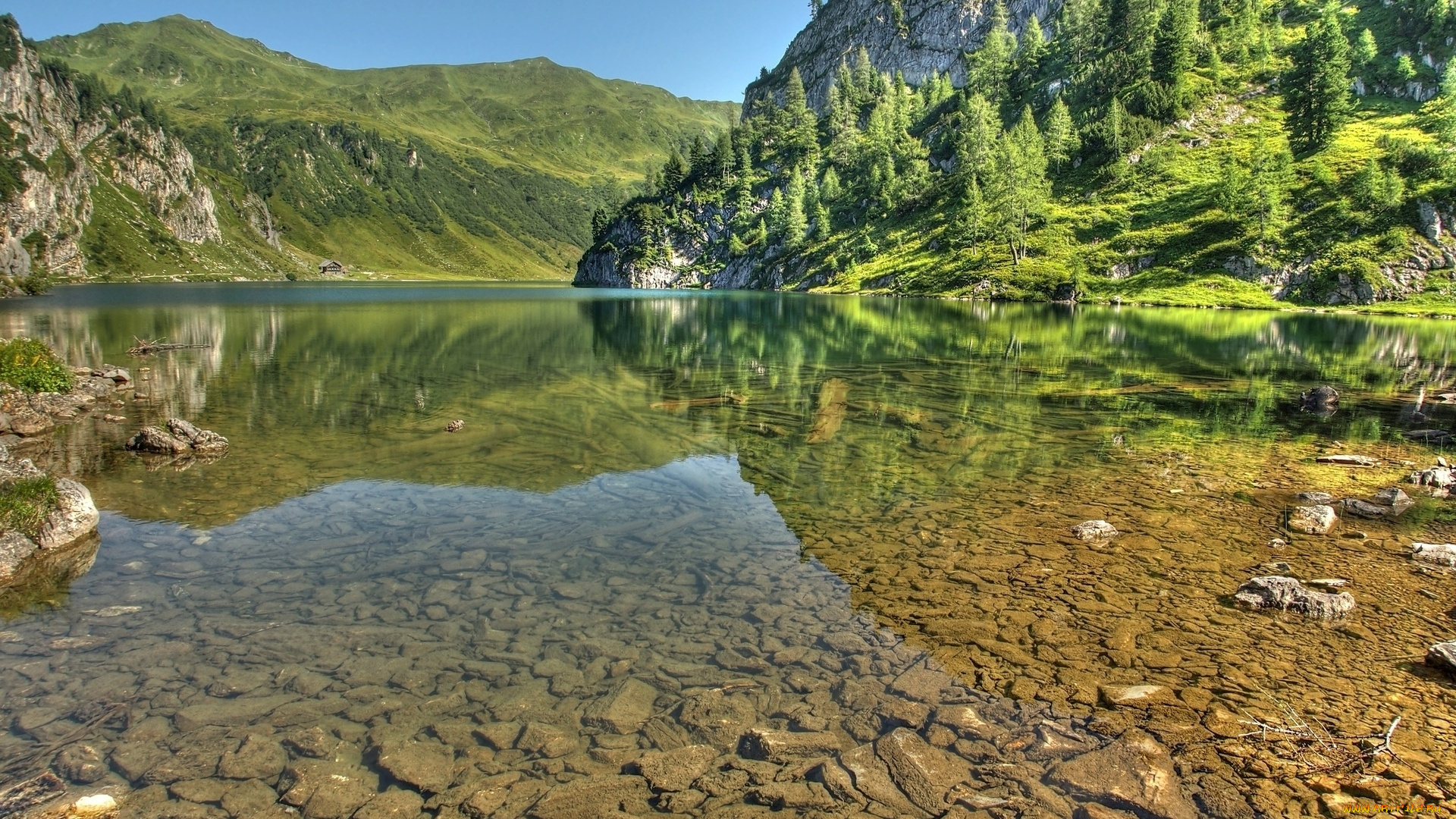 природа, реки, озера, деревья, река, камни, горы