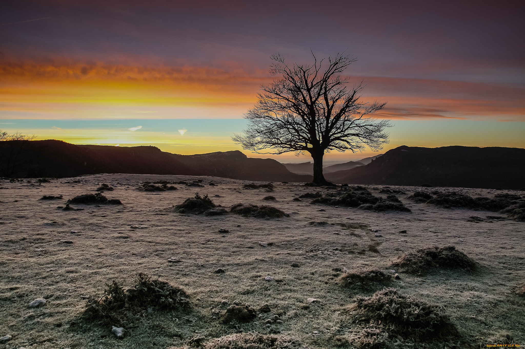 природа, деревья, вечер, дерево, igor, galarza, закат, небо