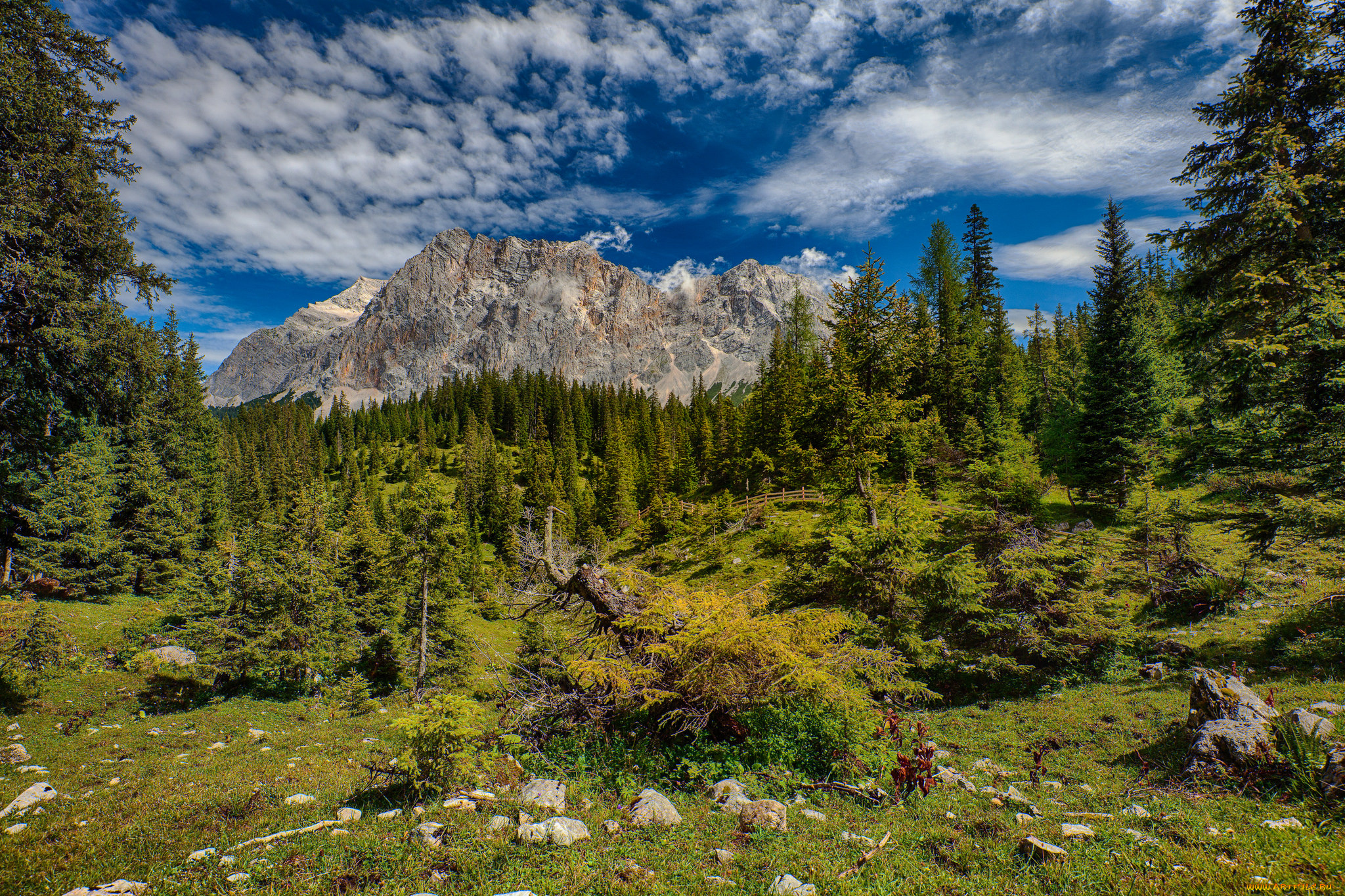 природа, горы, лес, облака