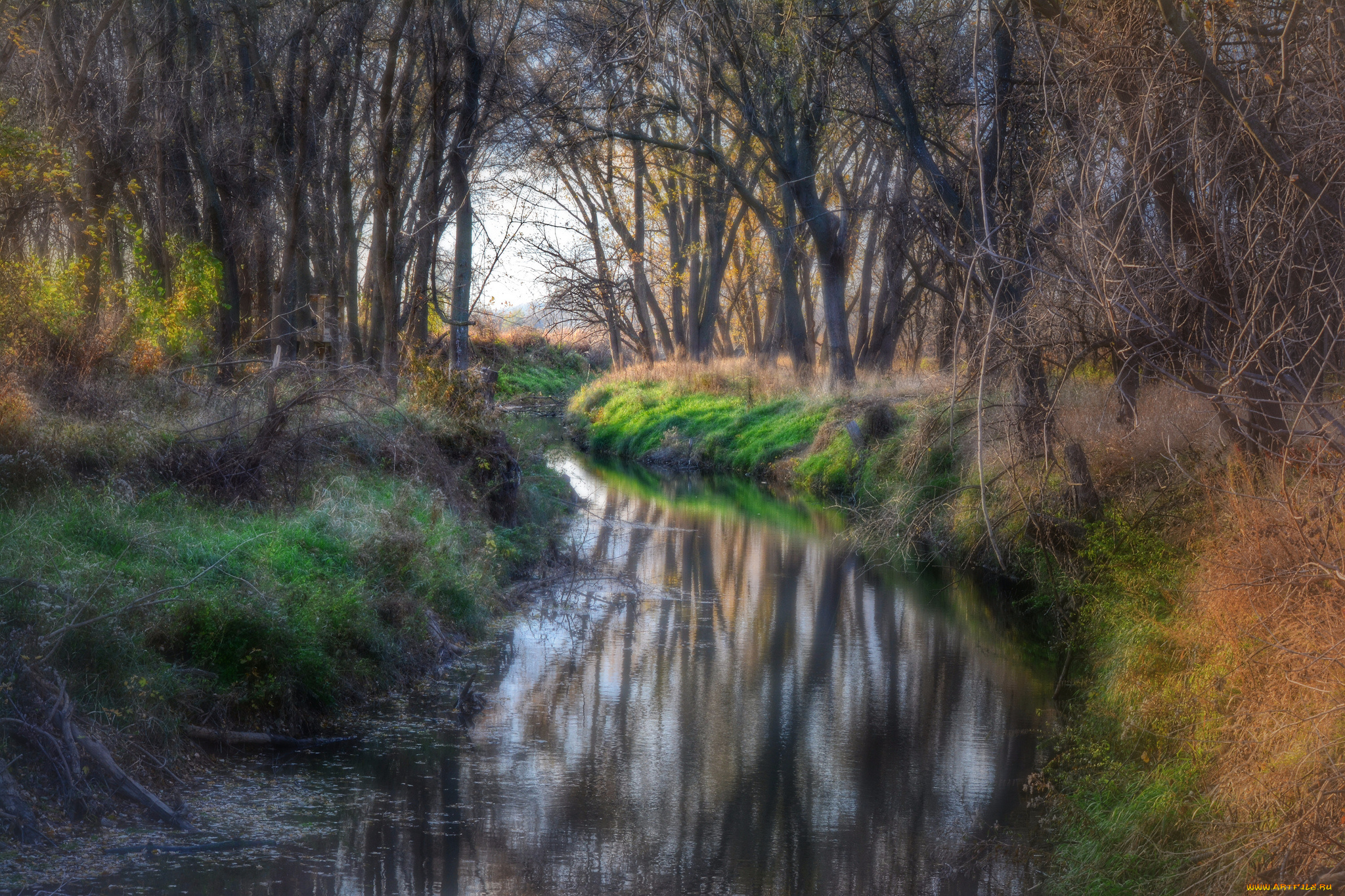 природа, реки, озера, речка, лес