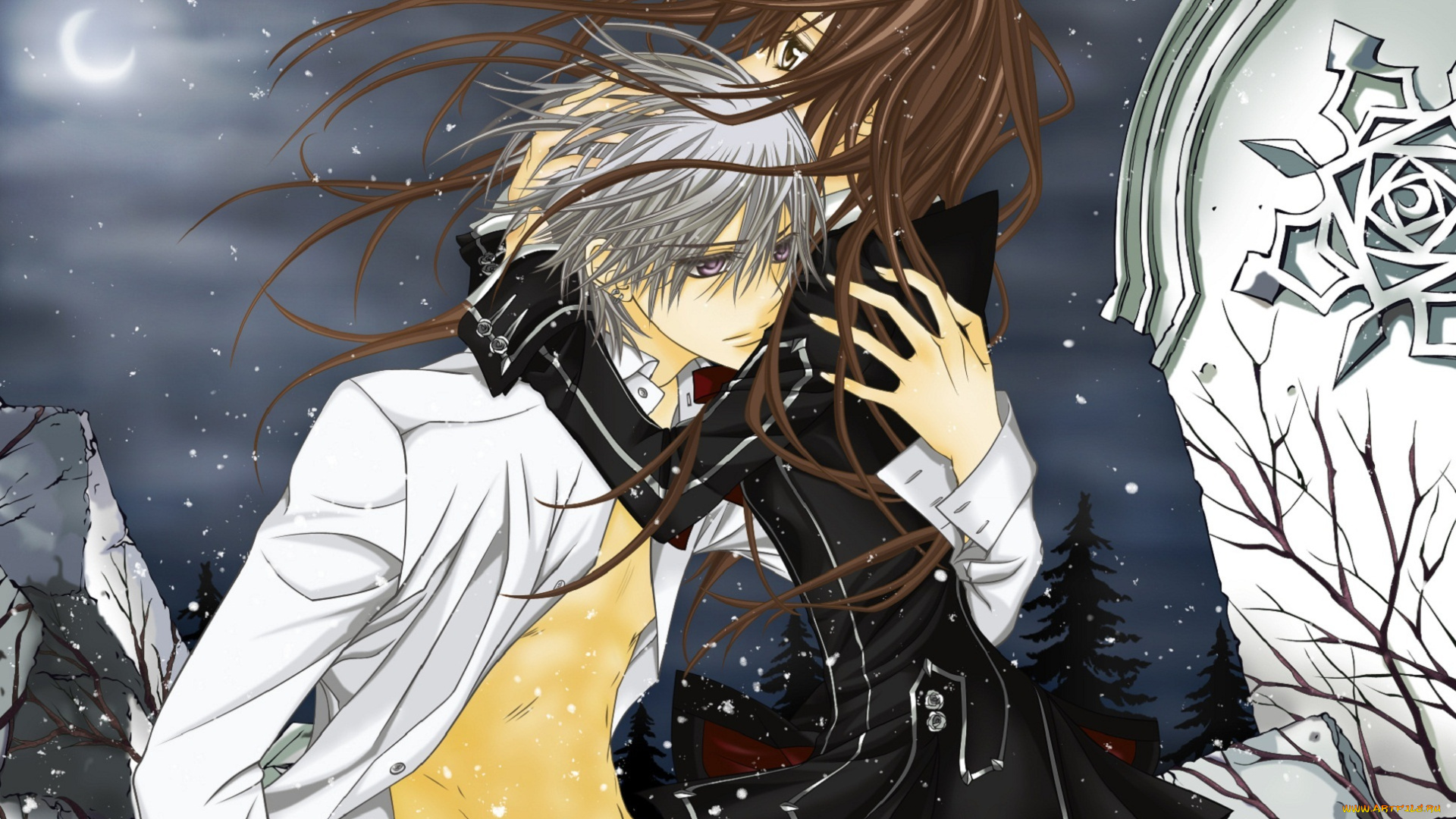 аниме, vampire, knight, рыцарь-вампир, yuuki, cross, vampire, knight, объятия, плита, ветер, kiryu, zero, снег, ночь, луна