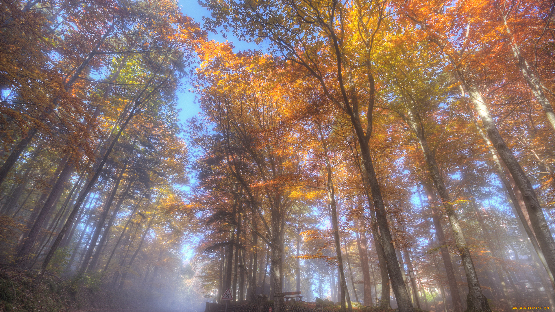 природа, дороги, дымка, шоссе, лес