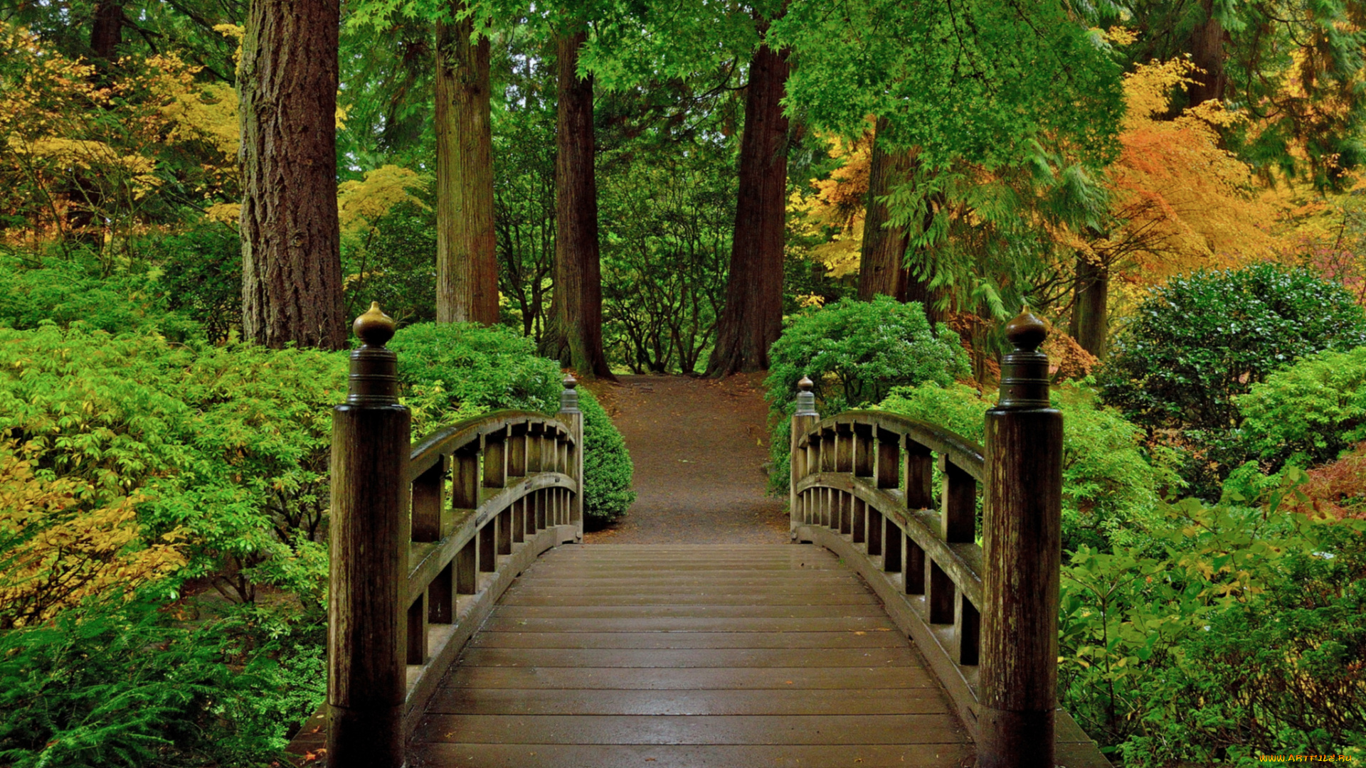 природа, дороги, мостик, лес