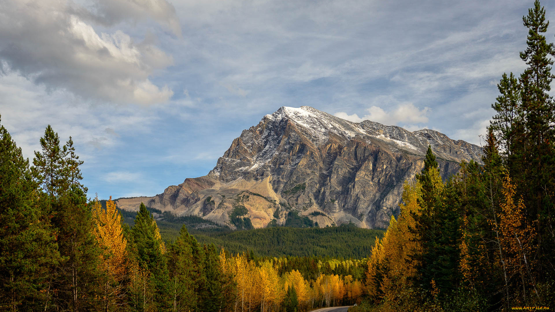 природа, дороги, шоссе, лес, горы