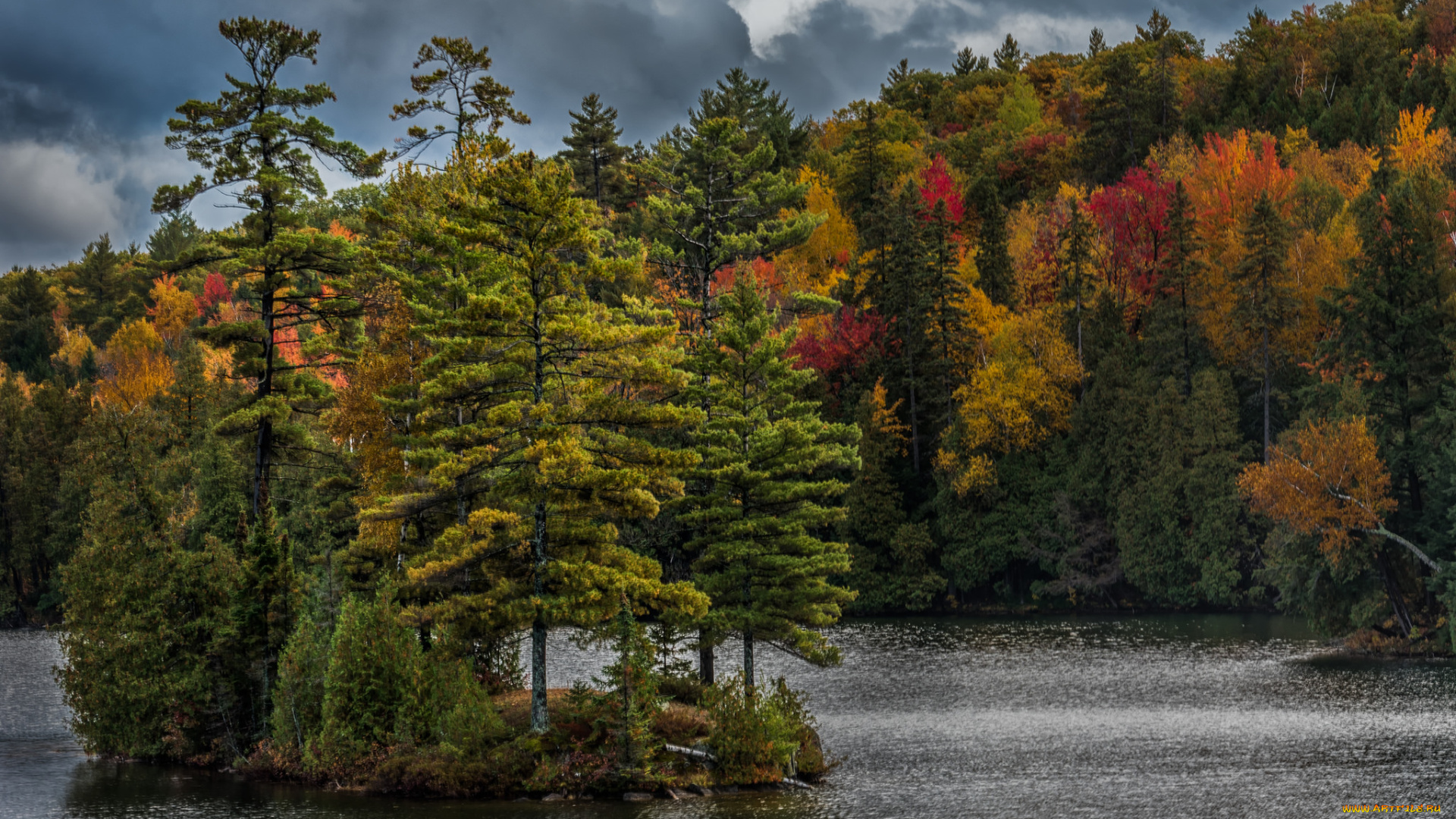 природа, реки, озера, лес, река