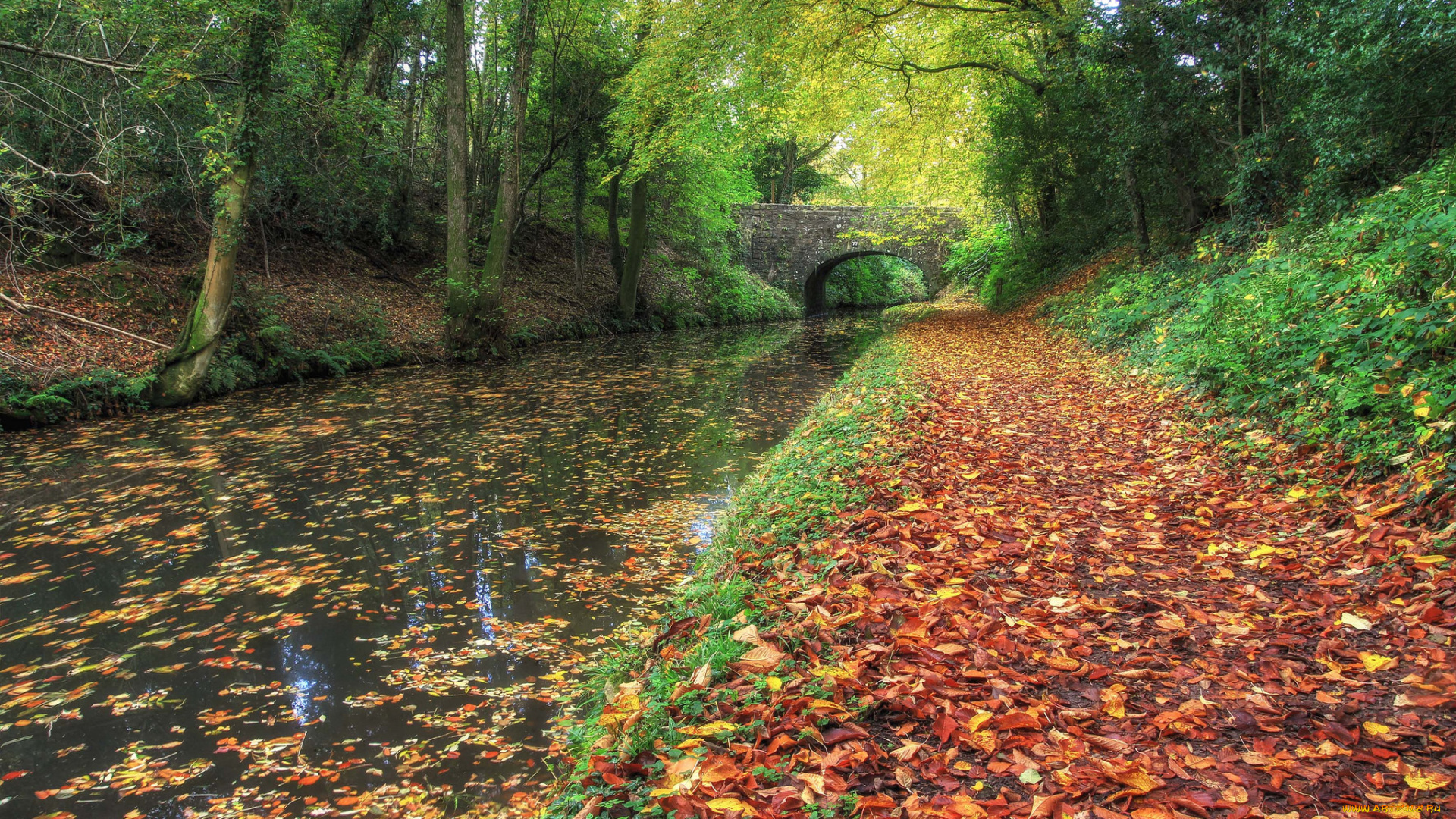 природа, реки, озера, осень, канал, лес