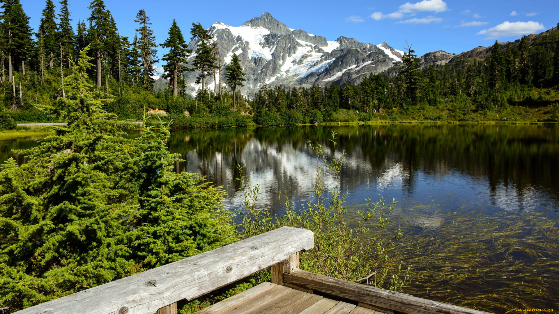 природа, реки, озера, река, лес, горы