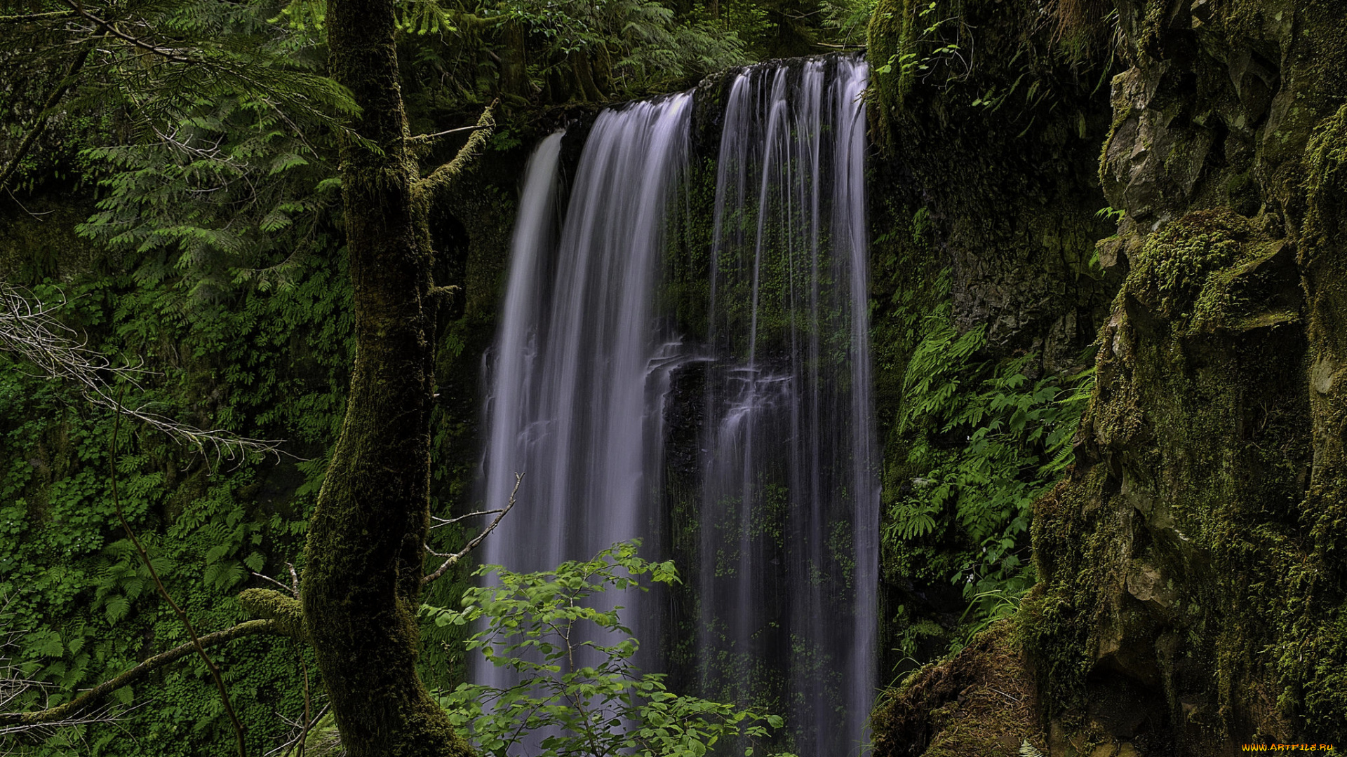 природа, водопады, лес, водопад, река