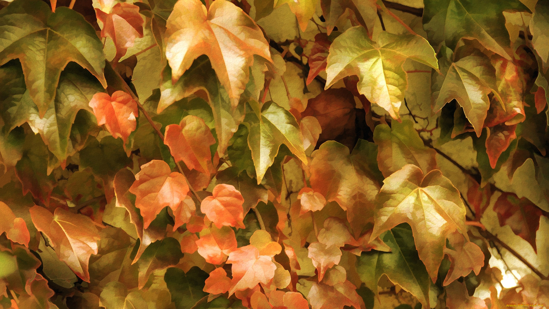 рисованное, природа, плющ, заросли, листья