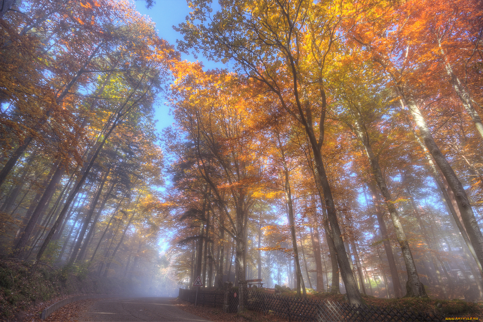 природа, дороги, дымка, шоссе, лес