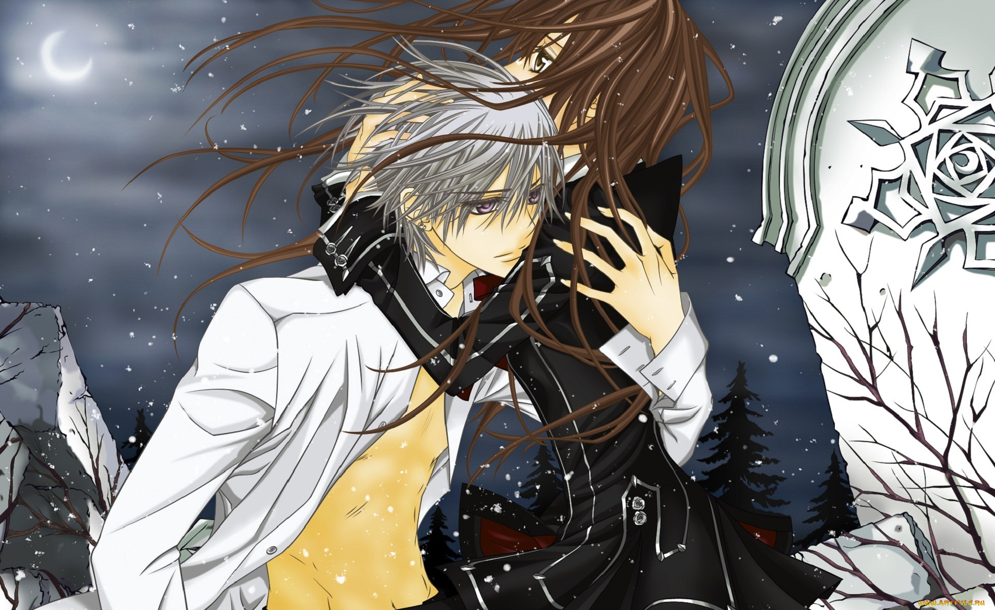 аниме, vampire, knight, рыцарь-вампир, yuuki, cross, vampire, knight, объятия, плита, ветер, kiryu, zero, снег, ночь, луна
