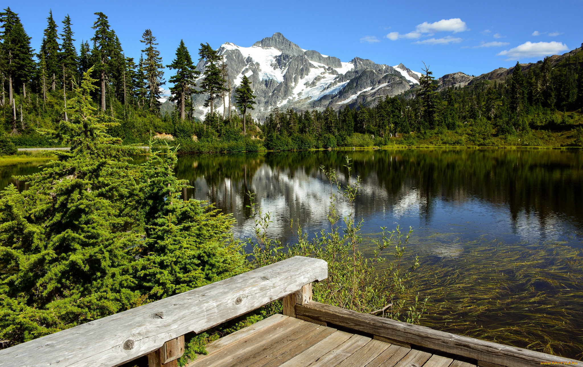 природа, реки, озера, река, лес, горы