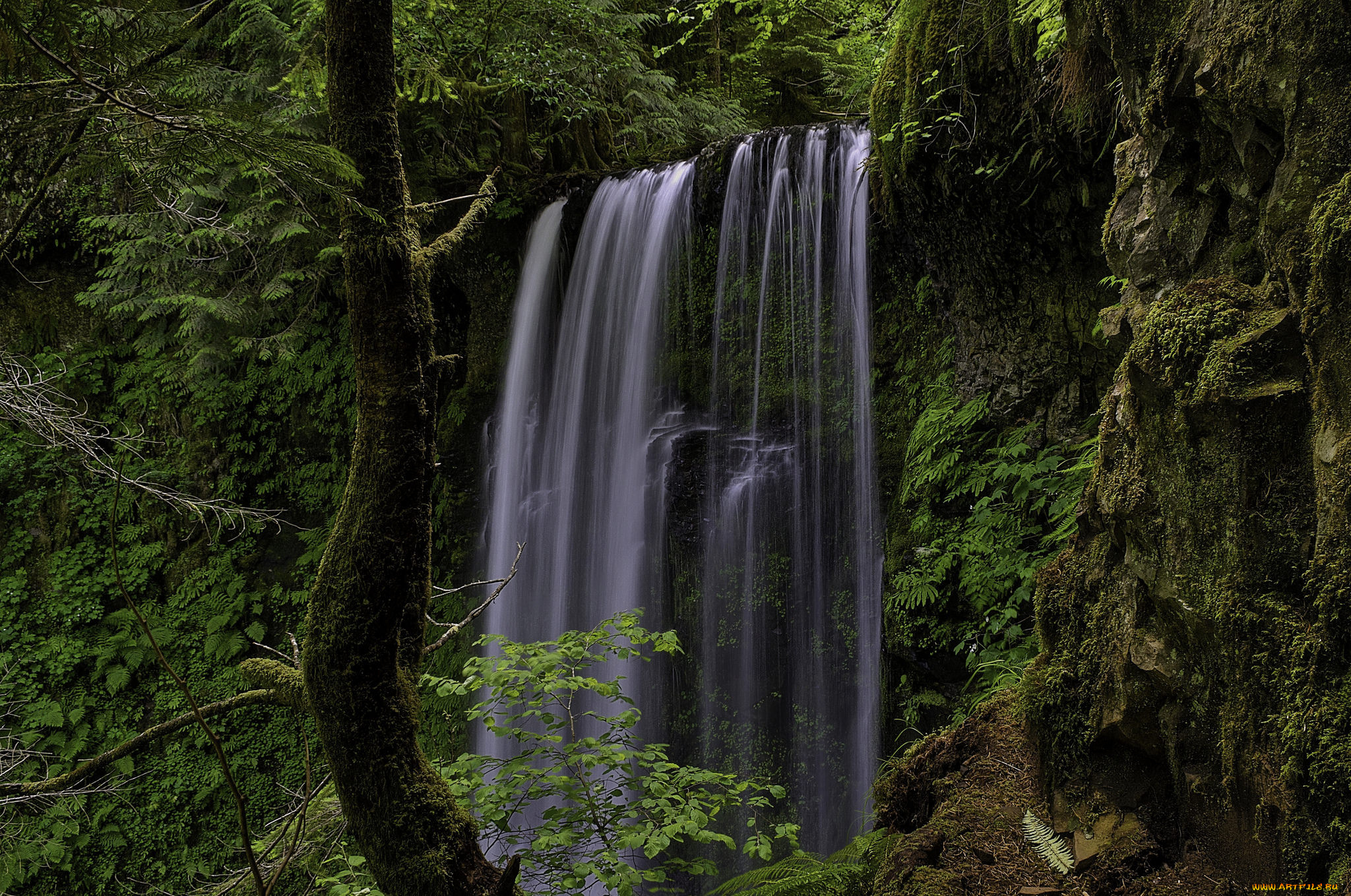 природа, водопады, лес, водопад, река