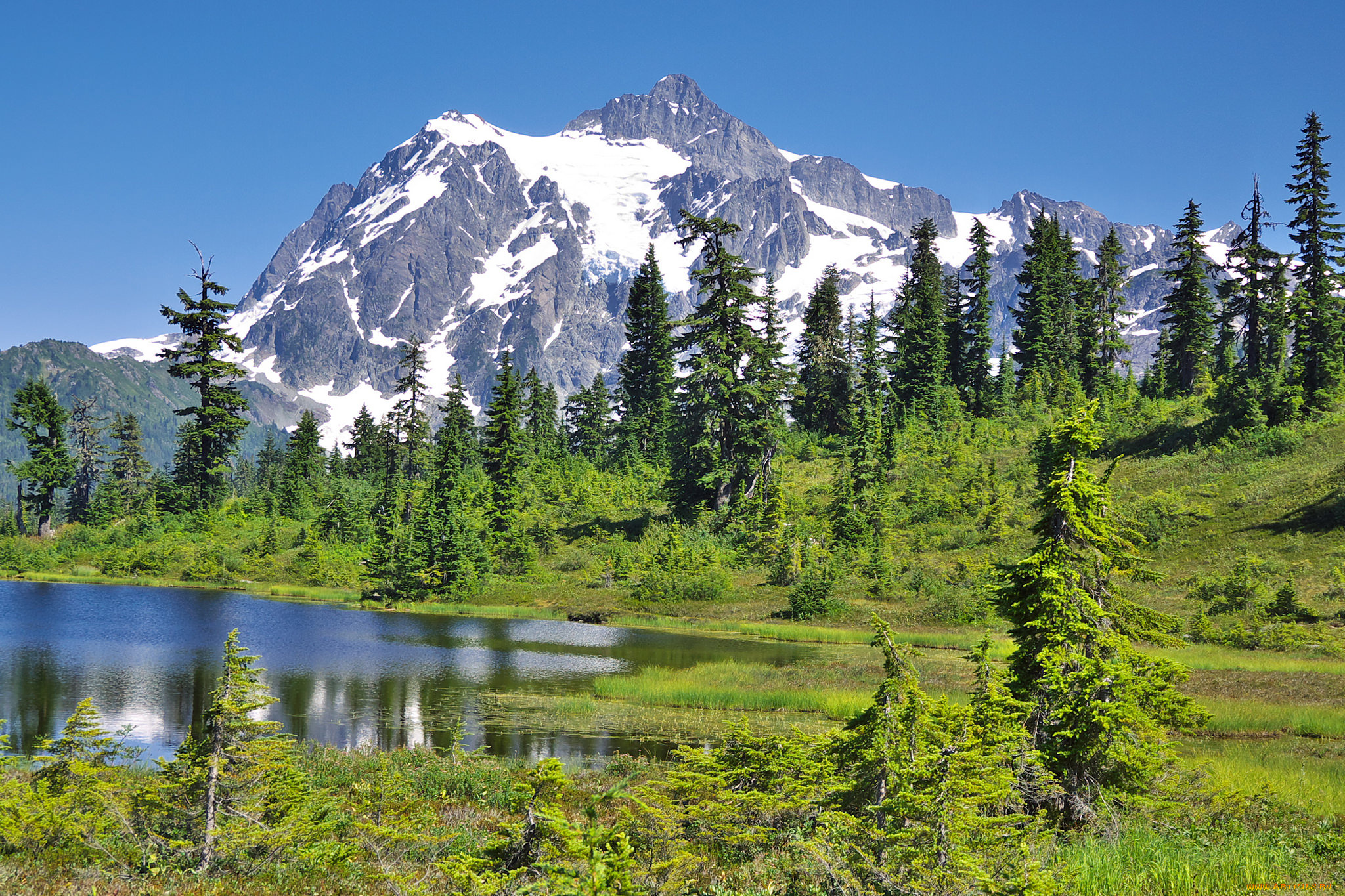 природа, реки, озера, река, лес, горы