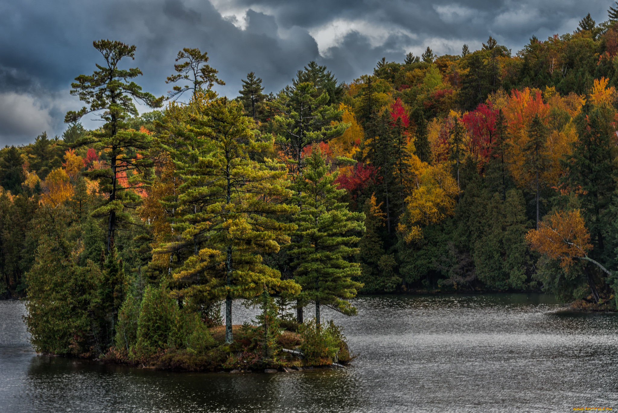 природа, реки, озера, лес, река