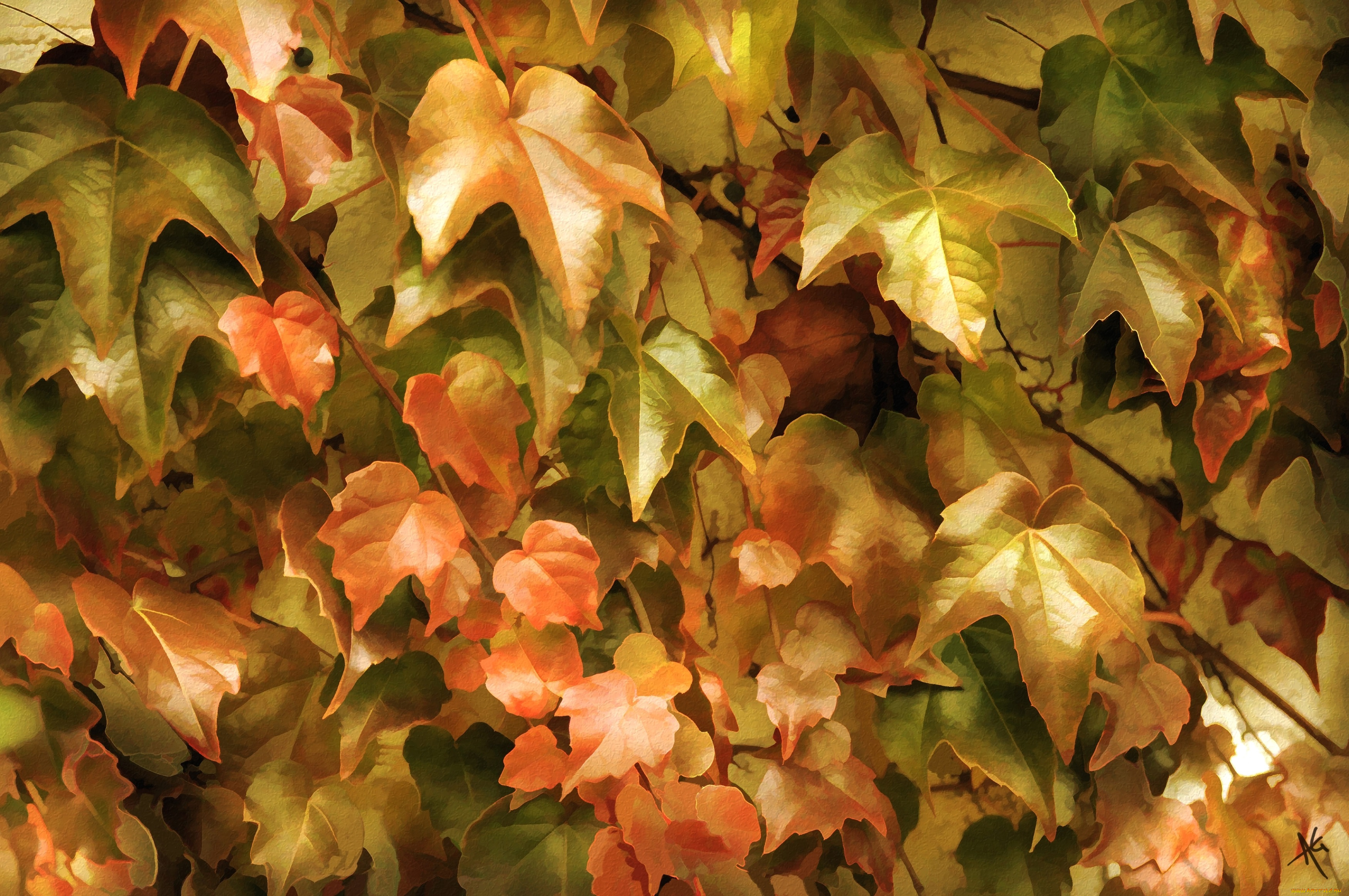 рисованное, природа, плющ, заросли, листья