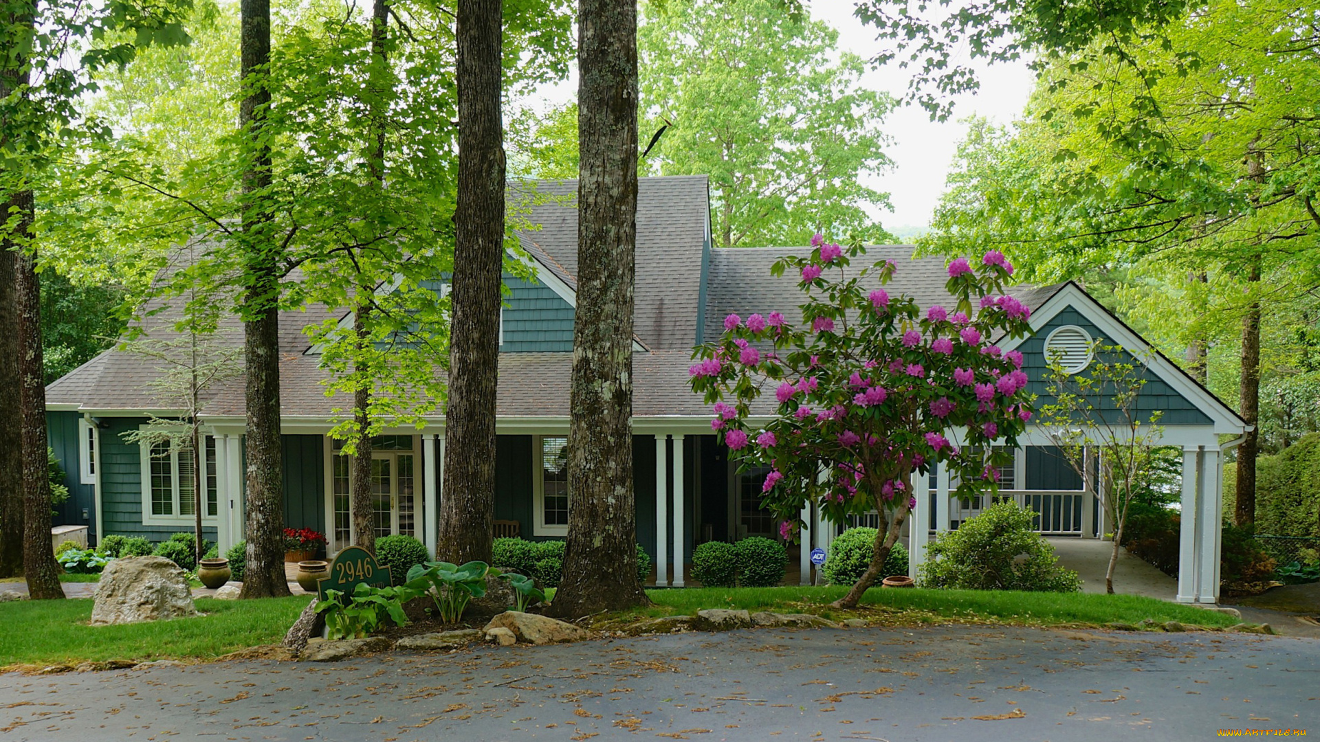 города, -, здания, , дома, кусты, деревья, цветы, дом