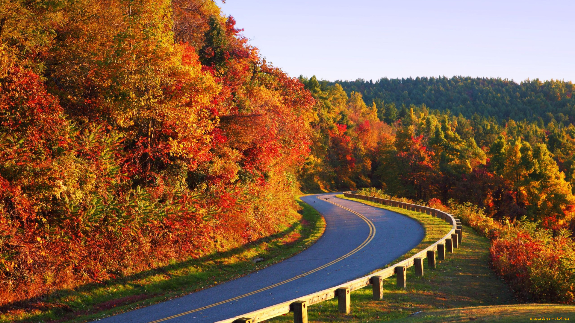 природа, дороги, осень, лес, дорога