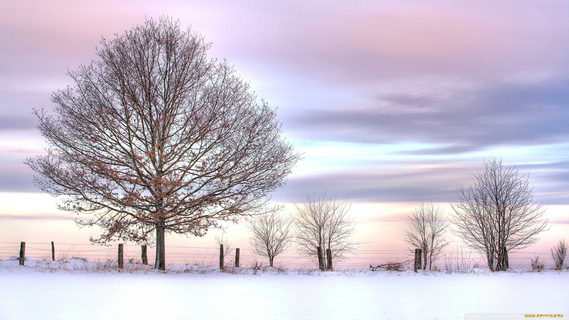 природа, зима, снег, деревья