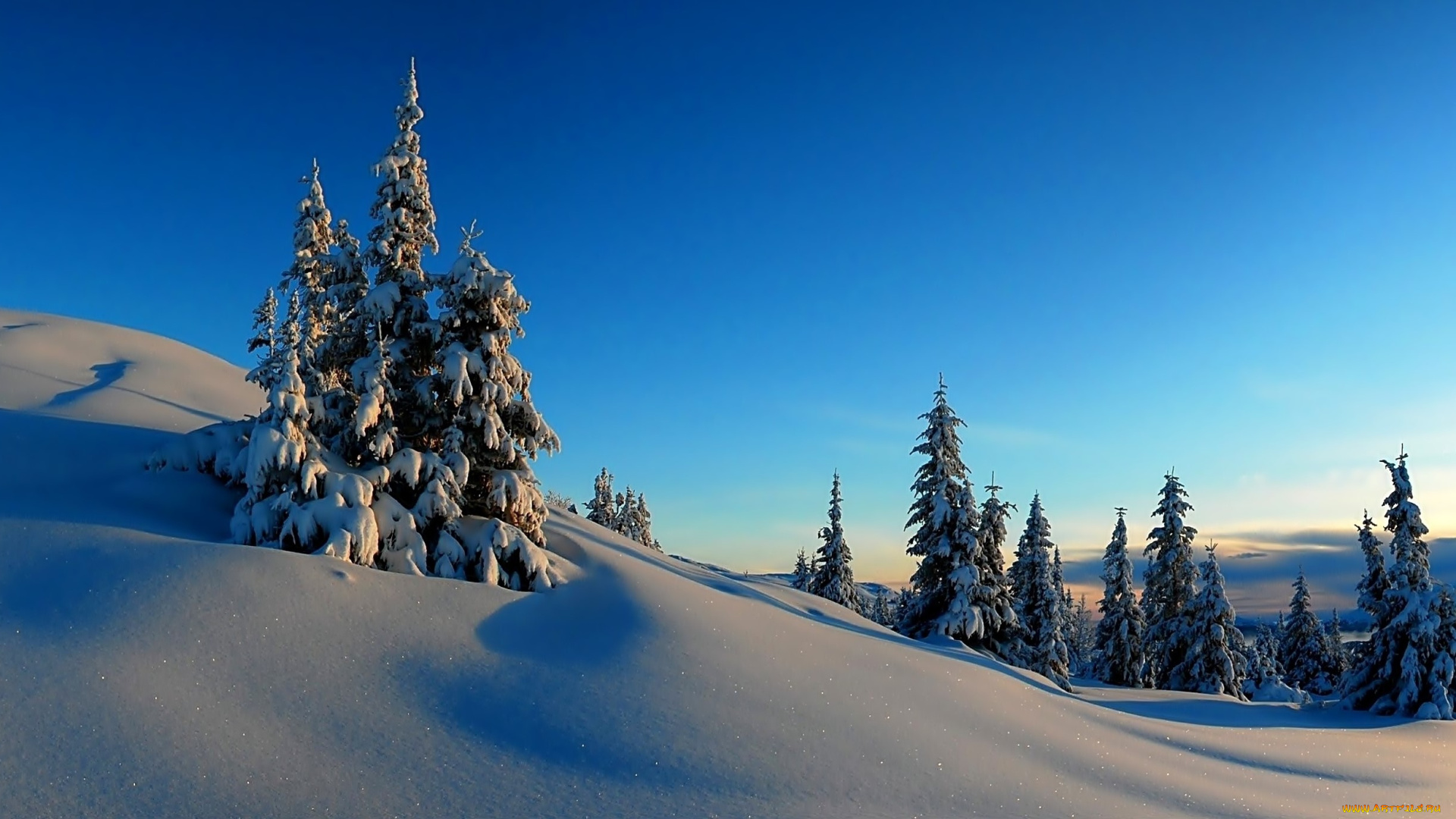 природа, зима, снег, деревья