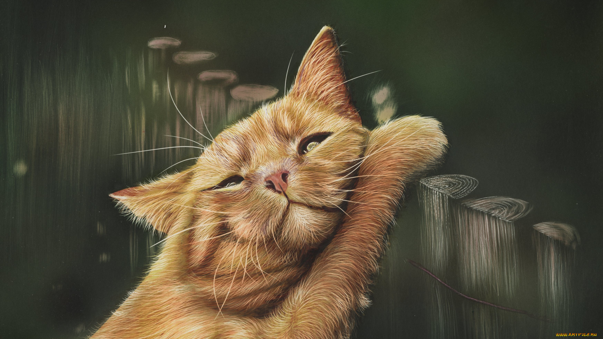 рисованное, животные, , коты, кот, by, shonechacko, забор, рисунок