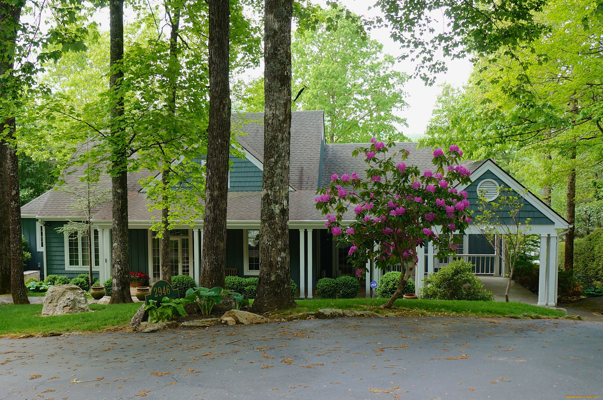 города, -, здания, , дома, кусты, деревья, цветы, дом