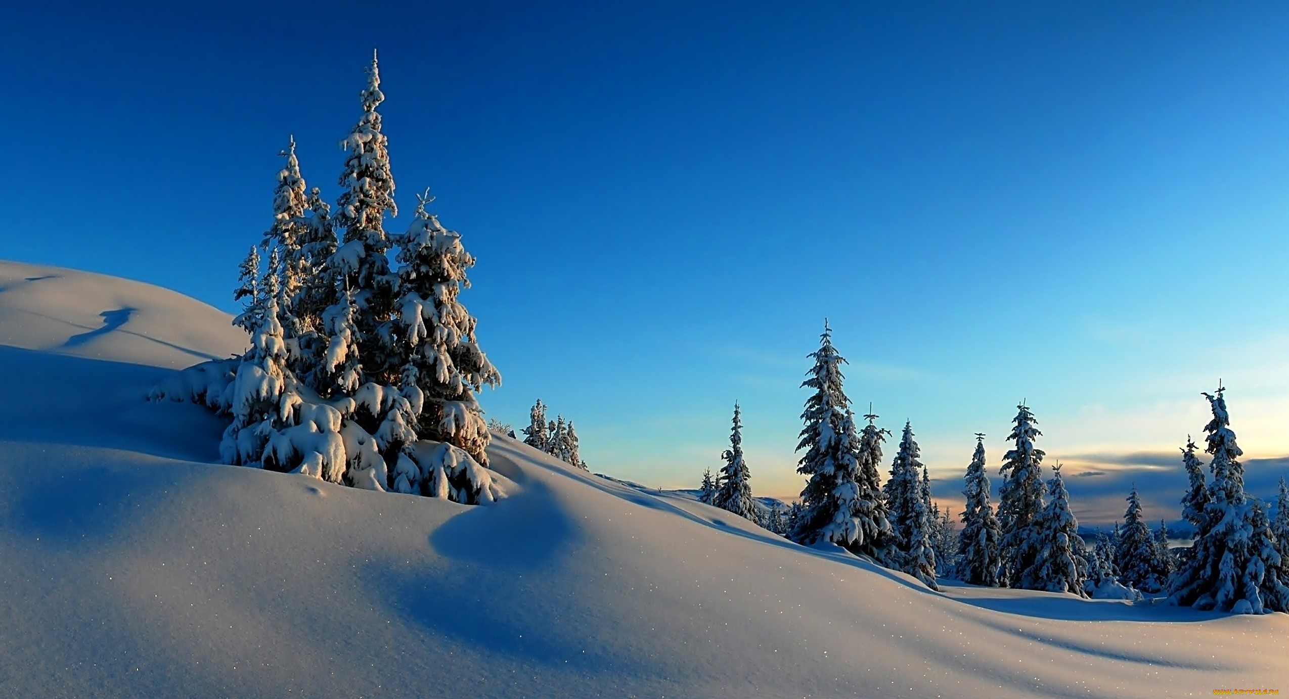 природа, зима, снег, деревья