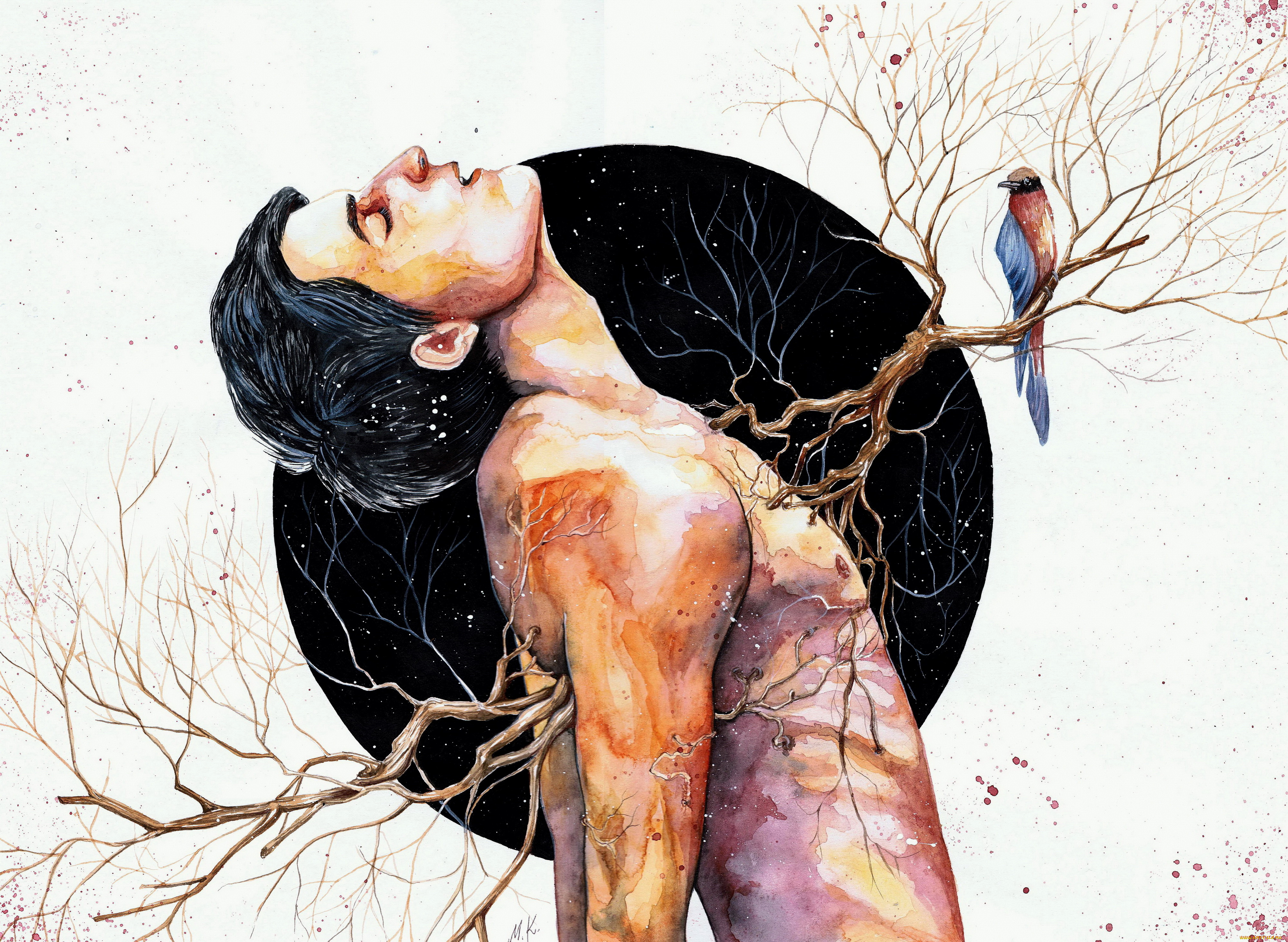 рисованное, люди, птица, ветка, фон, мужчина