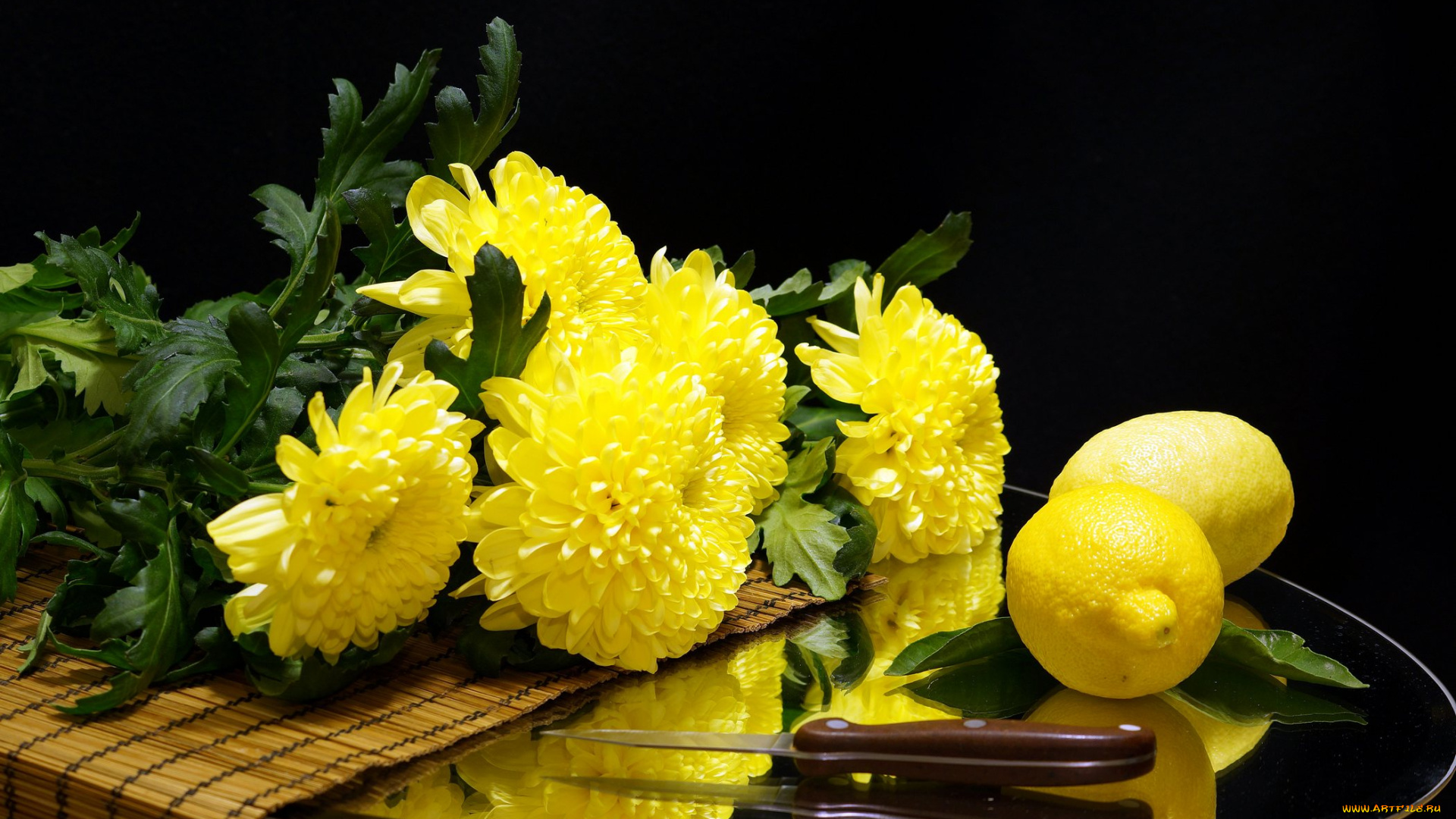 еда, цитрусы, цветы, хризантемы, нож, цитрус, лимон