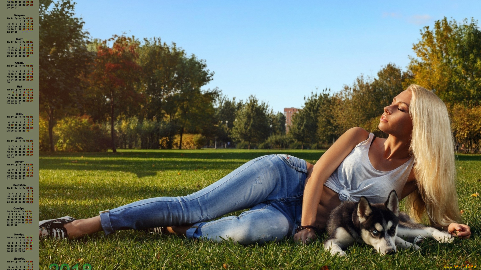 календари, девушки, трава, собака, блондинка, 2018, взгляд, деревья