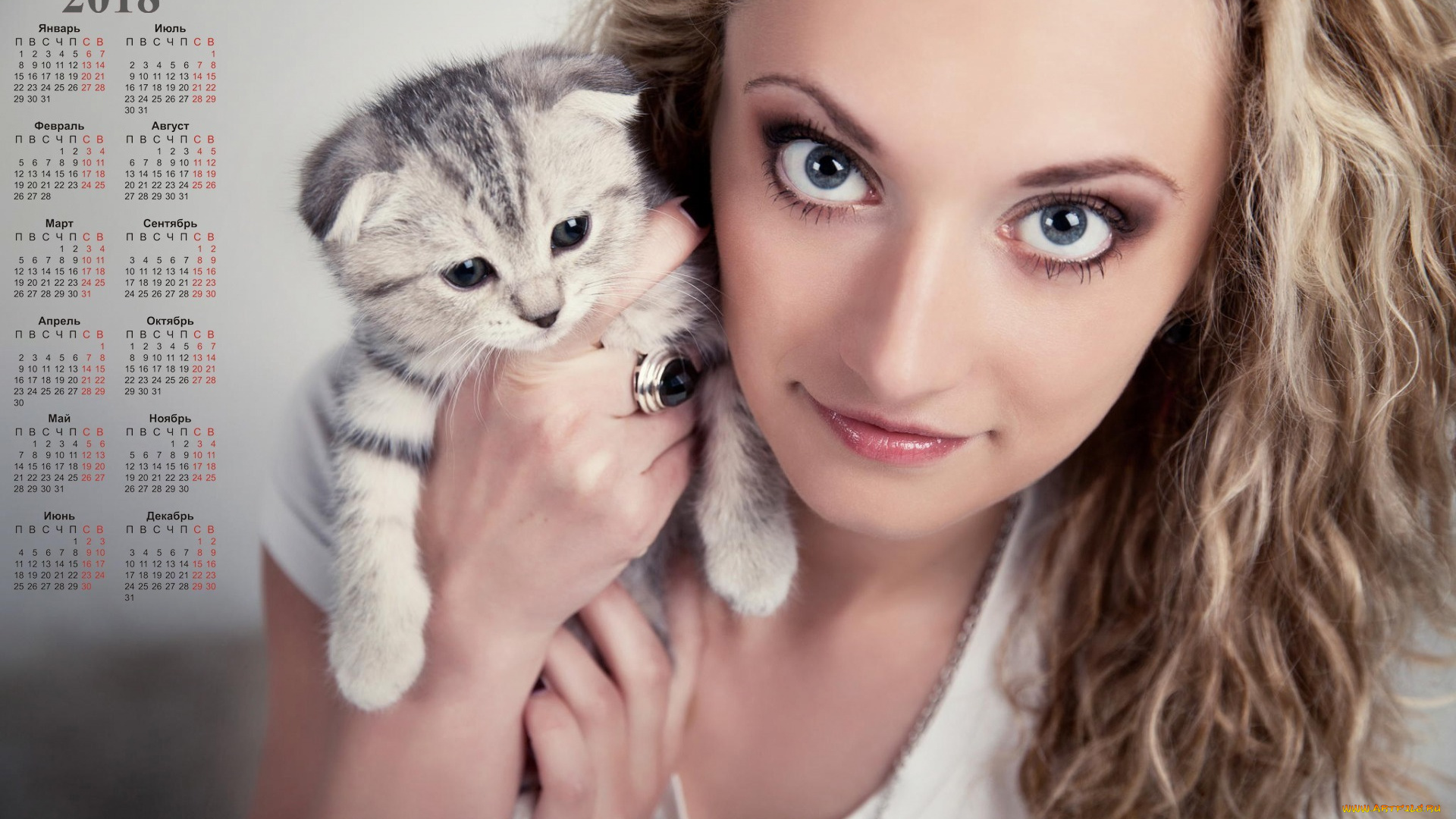 календари, девушки, взгляд, котенок, 2018, девушка