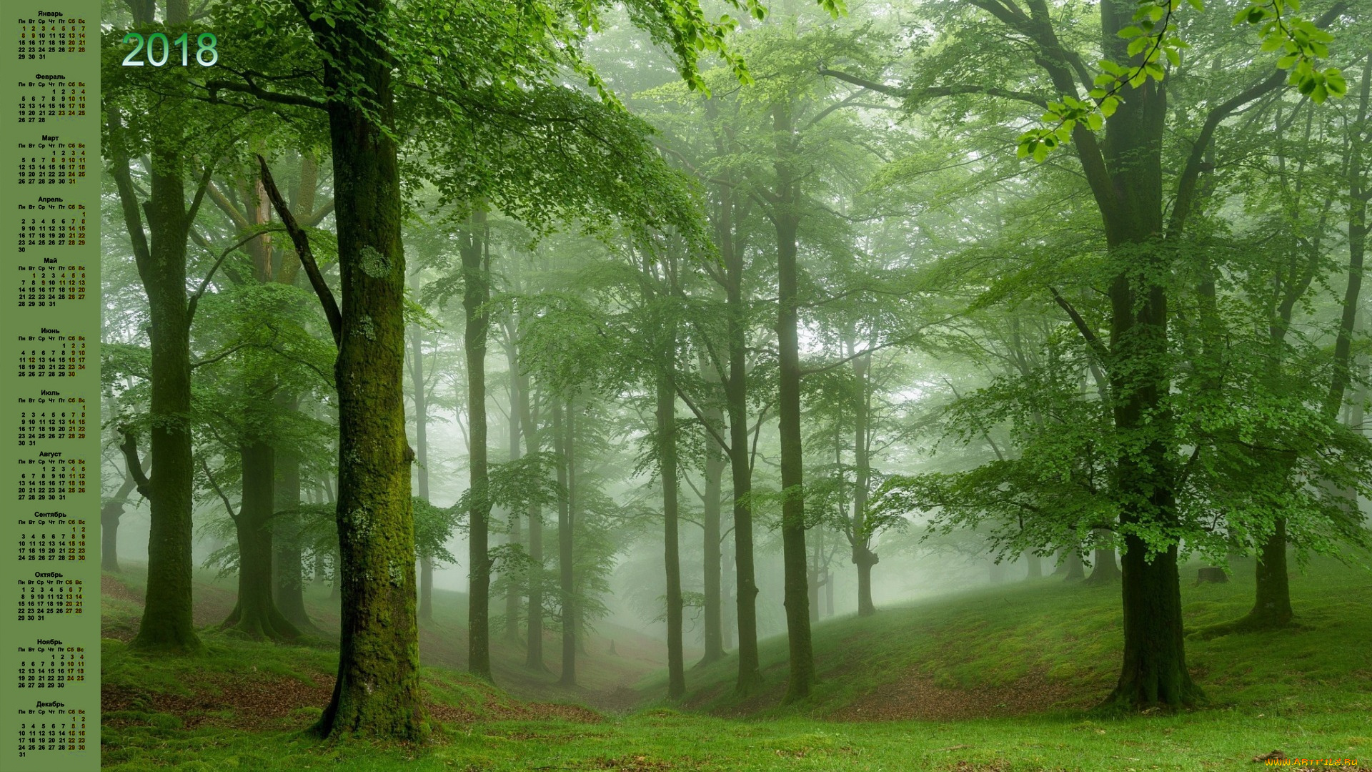 календари, природа, 2018, деревья