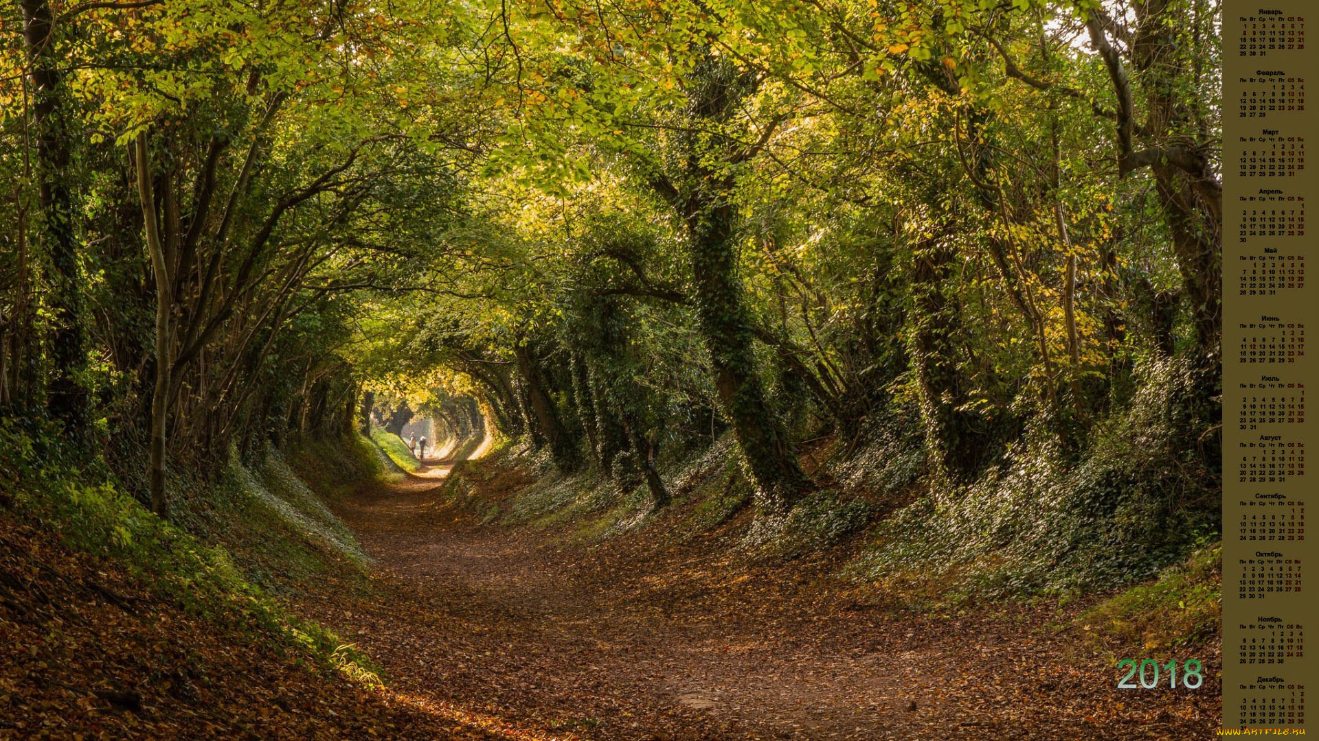 календари, природа, деревья, 2018
