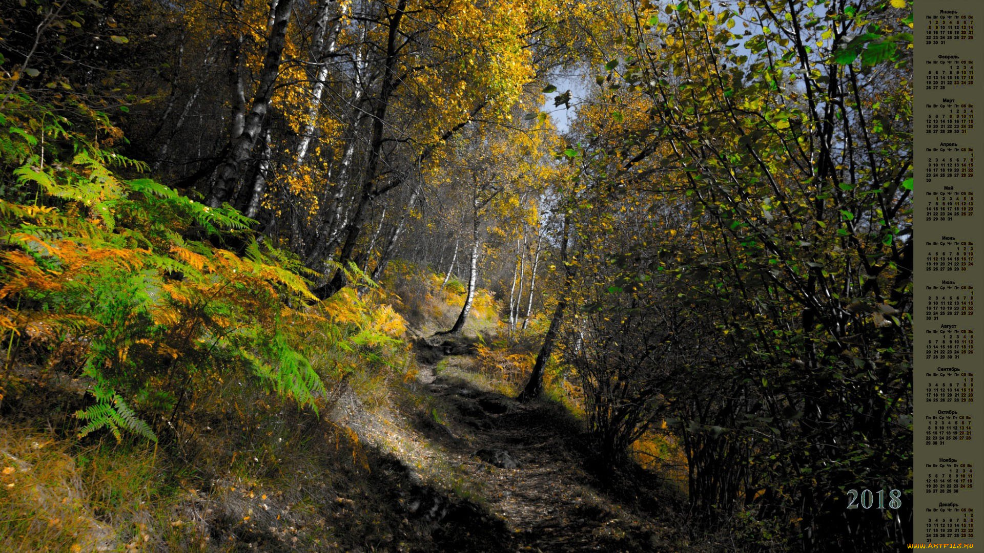 календари, природа, деревья, 2018, тропа