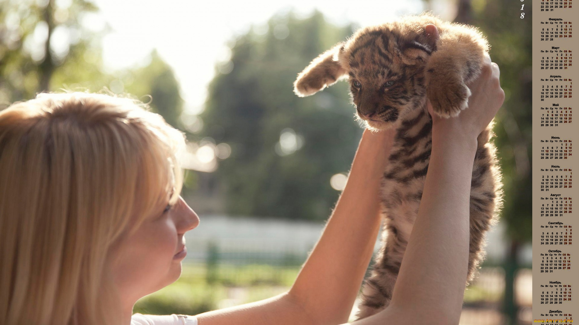 календари, животные, тигренок, 2018, женщина, профиль