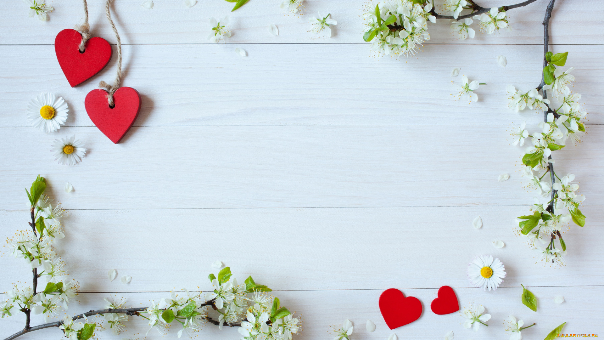 праздничные, день, святого, валентина, , сердечки, , любовь, праздник, сердечки, ромашки, цветы, ветки