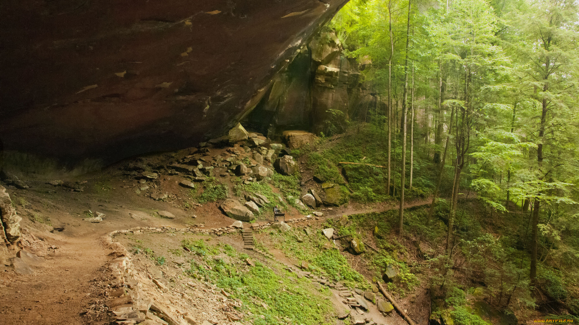 природа, дороги, простор