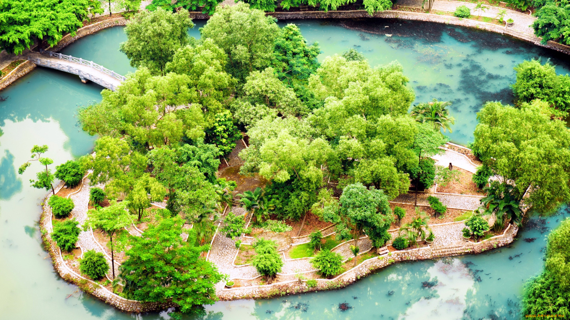 природа, парк, панорама