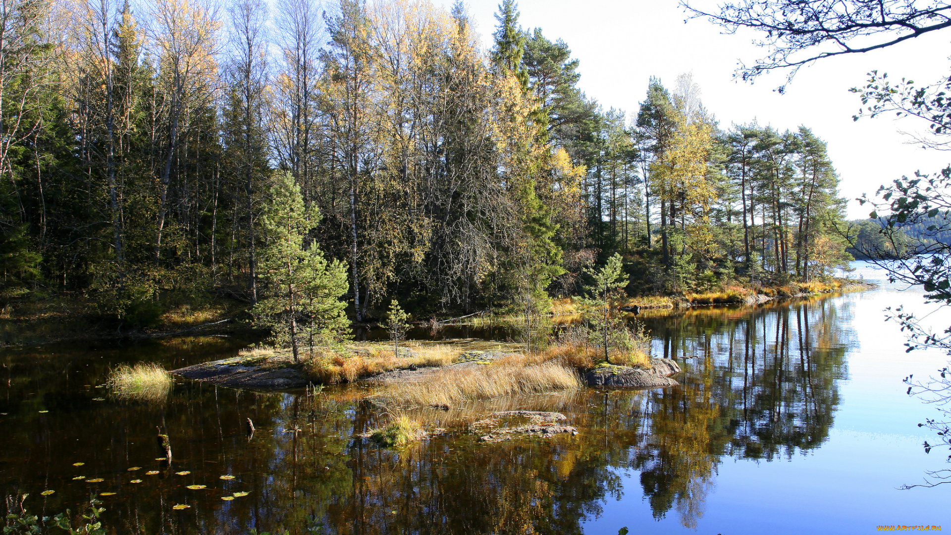 природа, реки, озера, простор