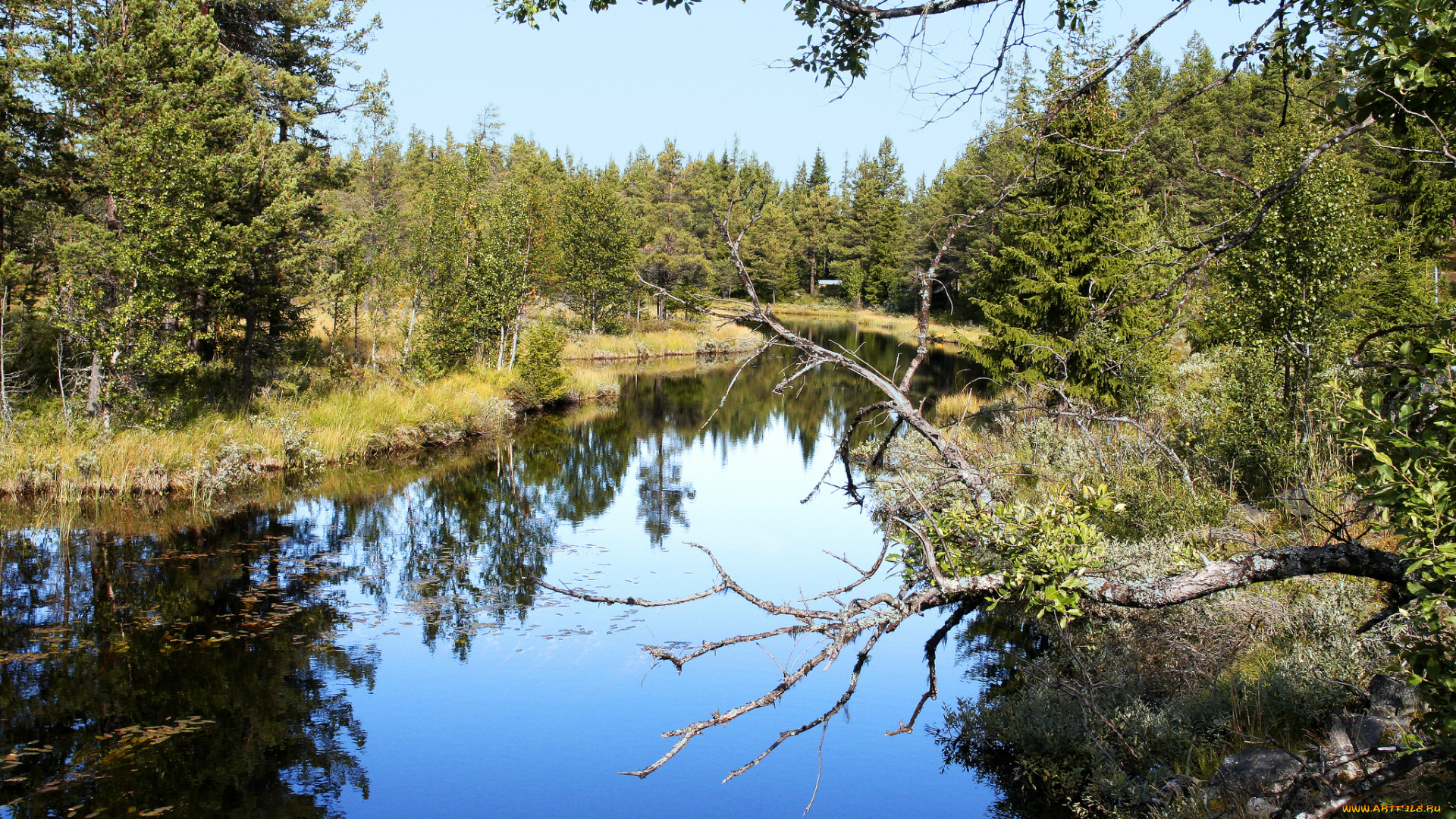 природа, реки, озера, простор