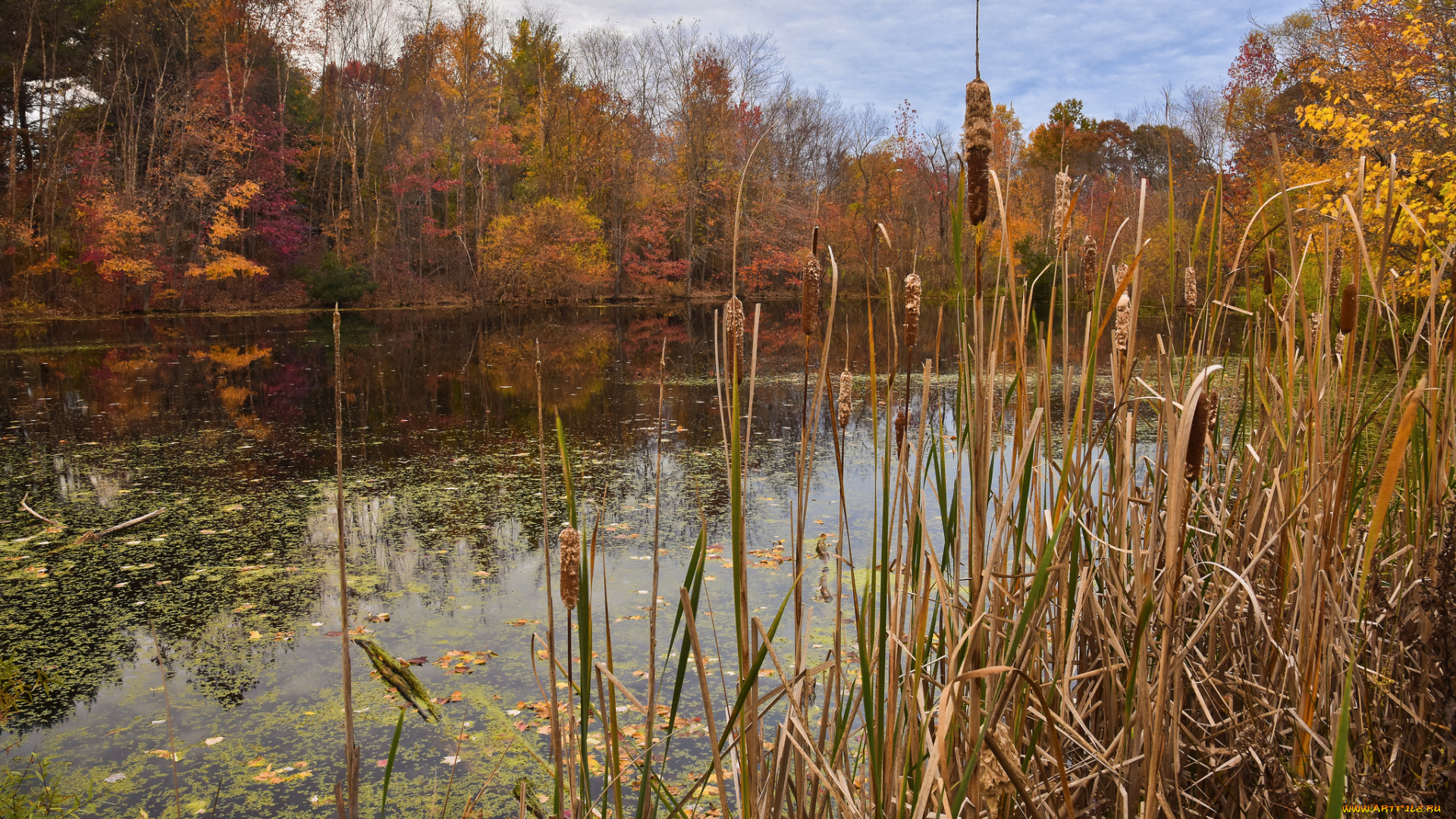 природа, реки, озера, простор
